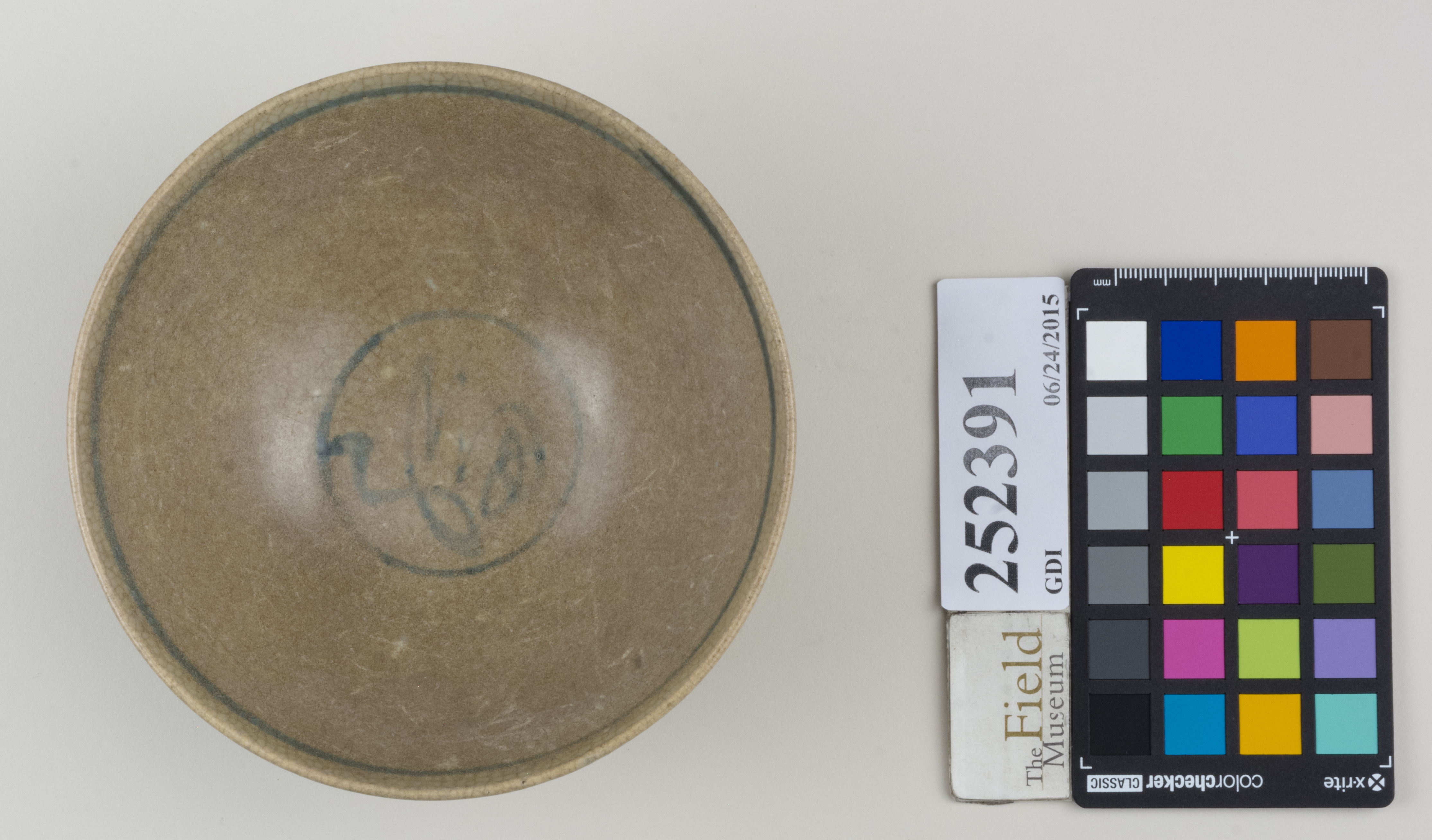 Top (c) Field Museum of Natural History - CC BY-NC 4.0