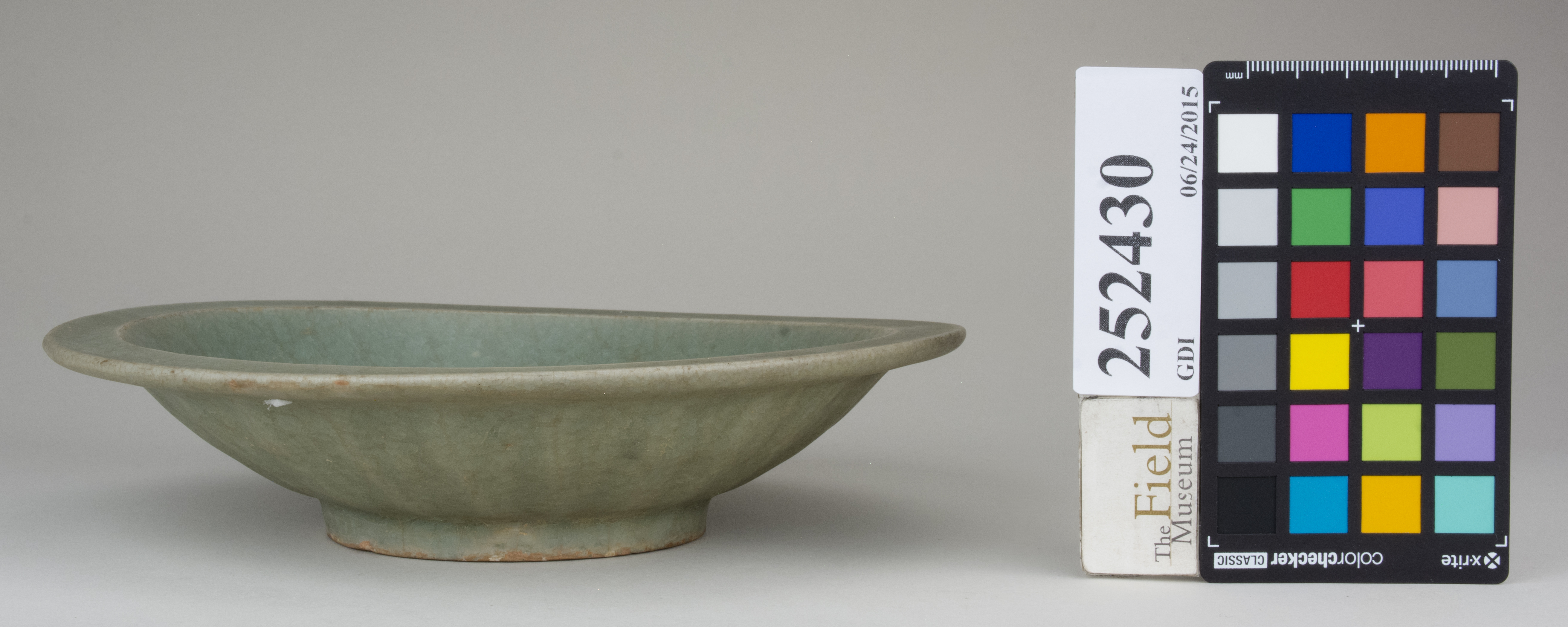 reference image, back (c) Field Museum of Natural History - CC BY-NC 4.0