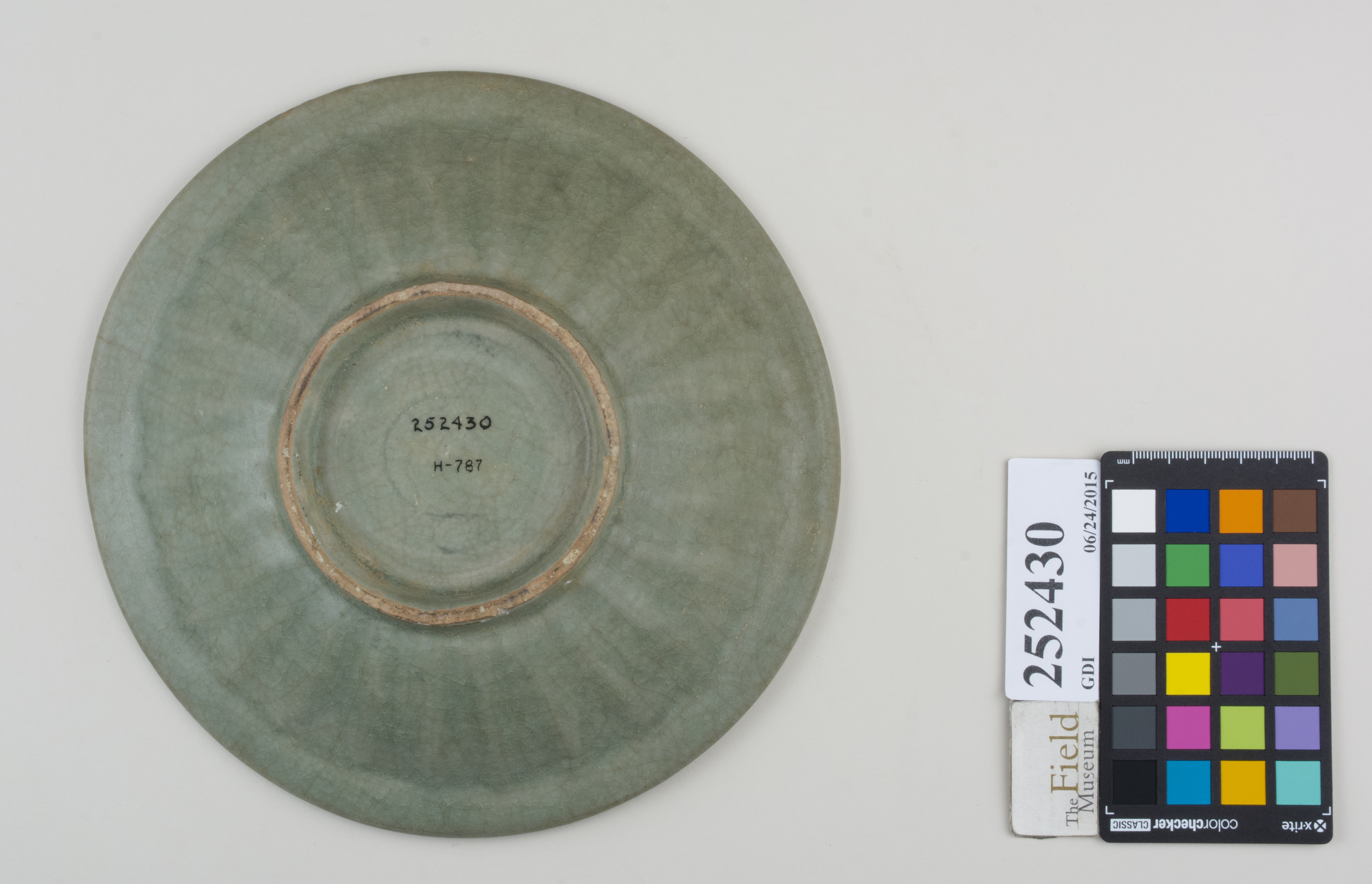 Bottom (c) Field Museum of Natural History - CC BY-NC 4.0