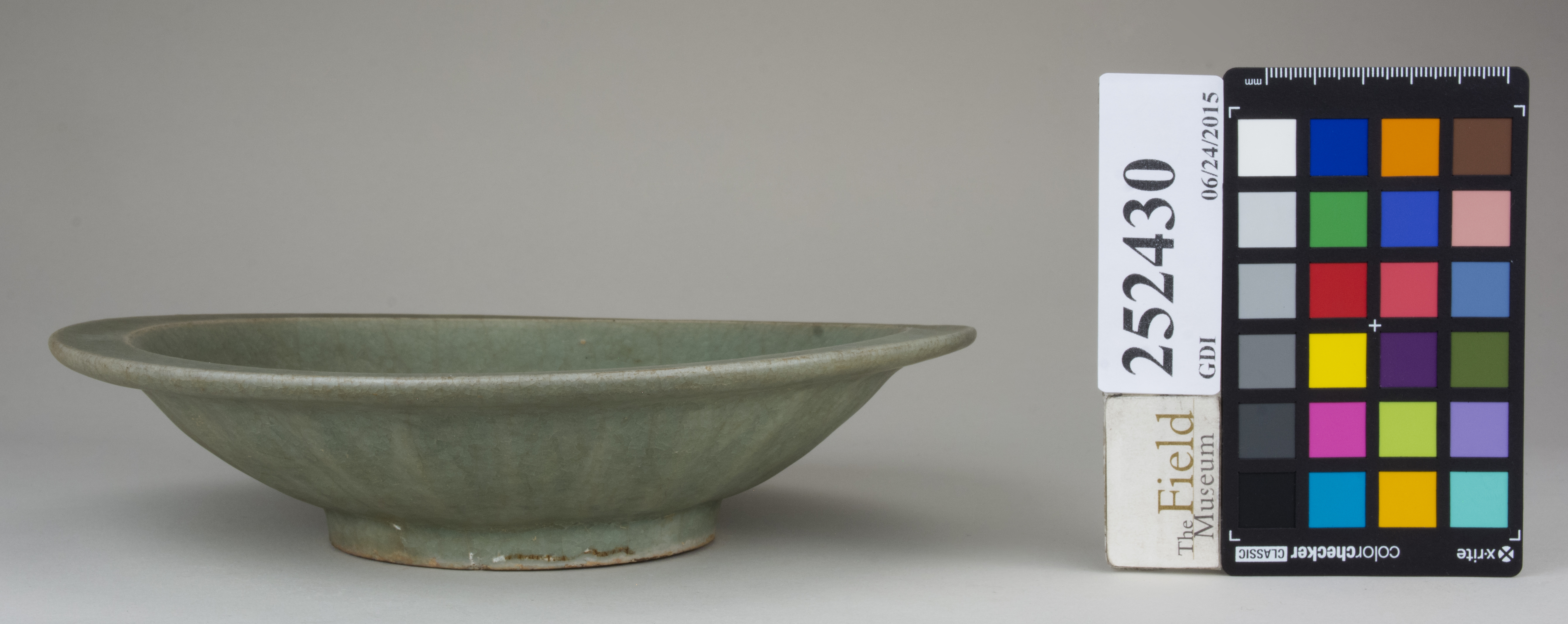 Front (c) Field Museum of Natural History - CC BY-NC 4.0