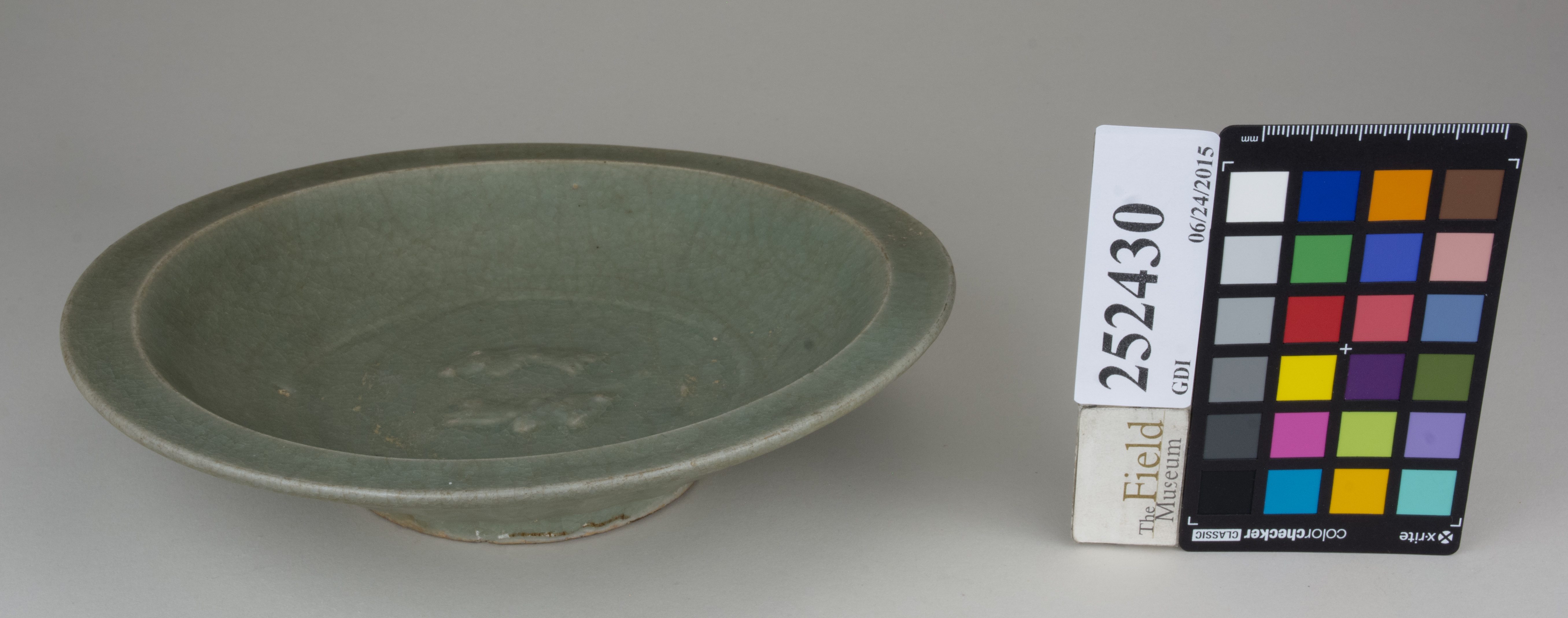 FrontAngle (c) Field Museum of Natural History - CC BY-NC 4.0