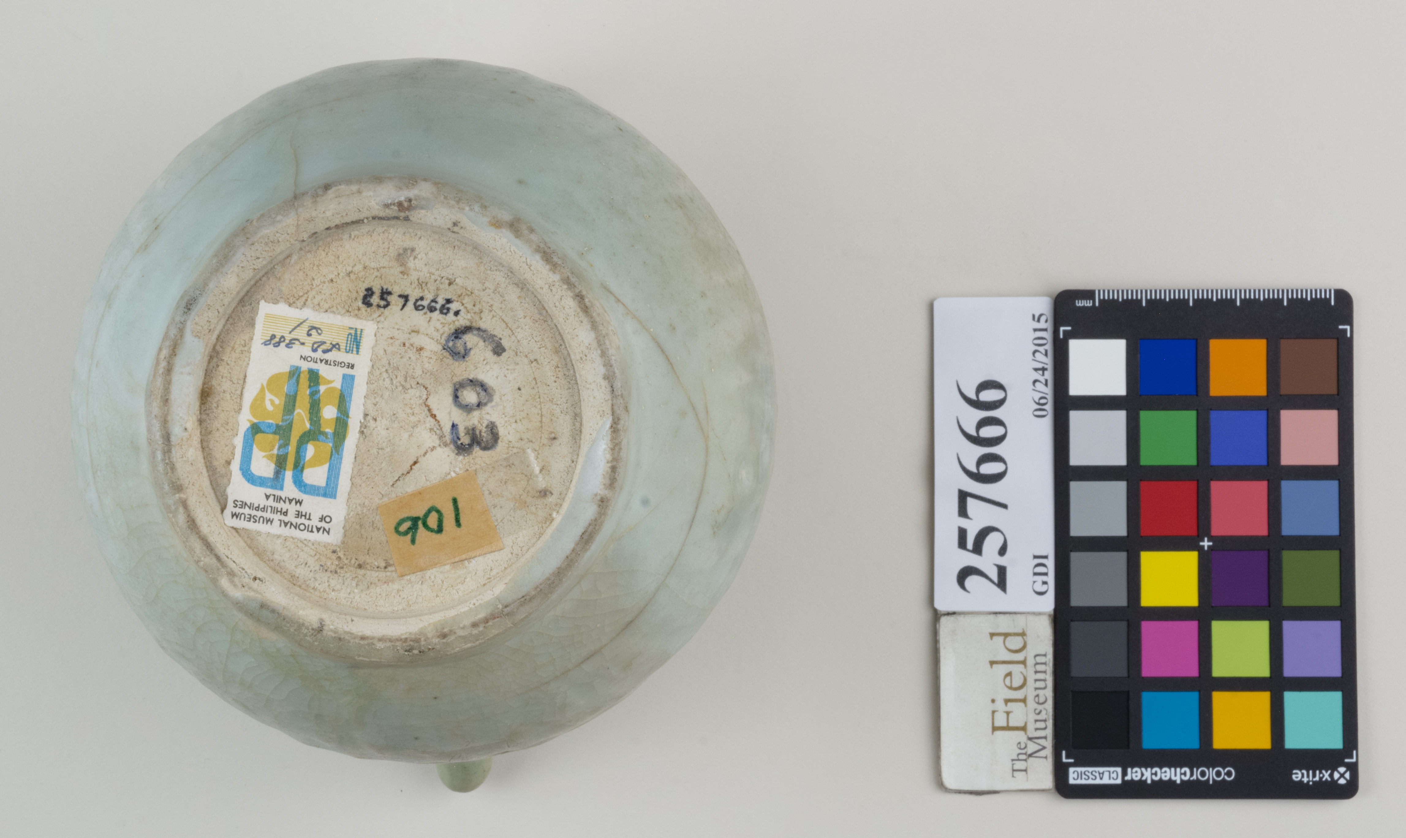 Bottom (c) Field Museum of Natural History - CC BY-NC 4.0