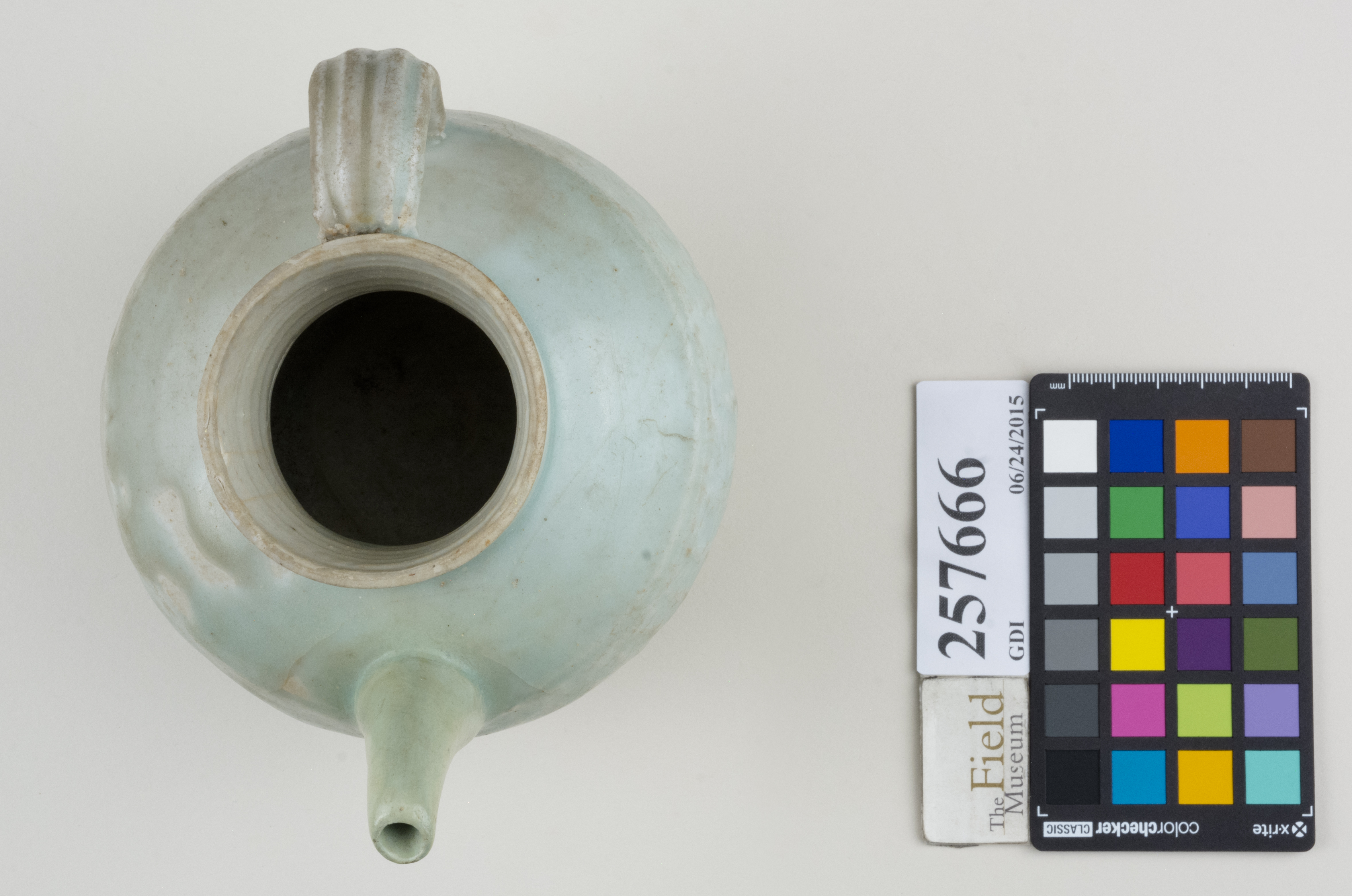 Top (c) Field Museum of Natural History - CC BY-NC 4.0