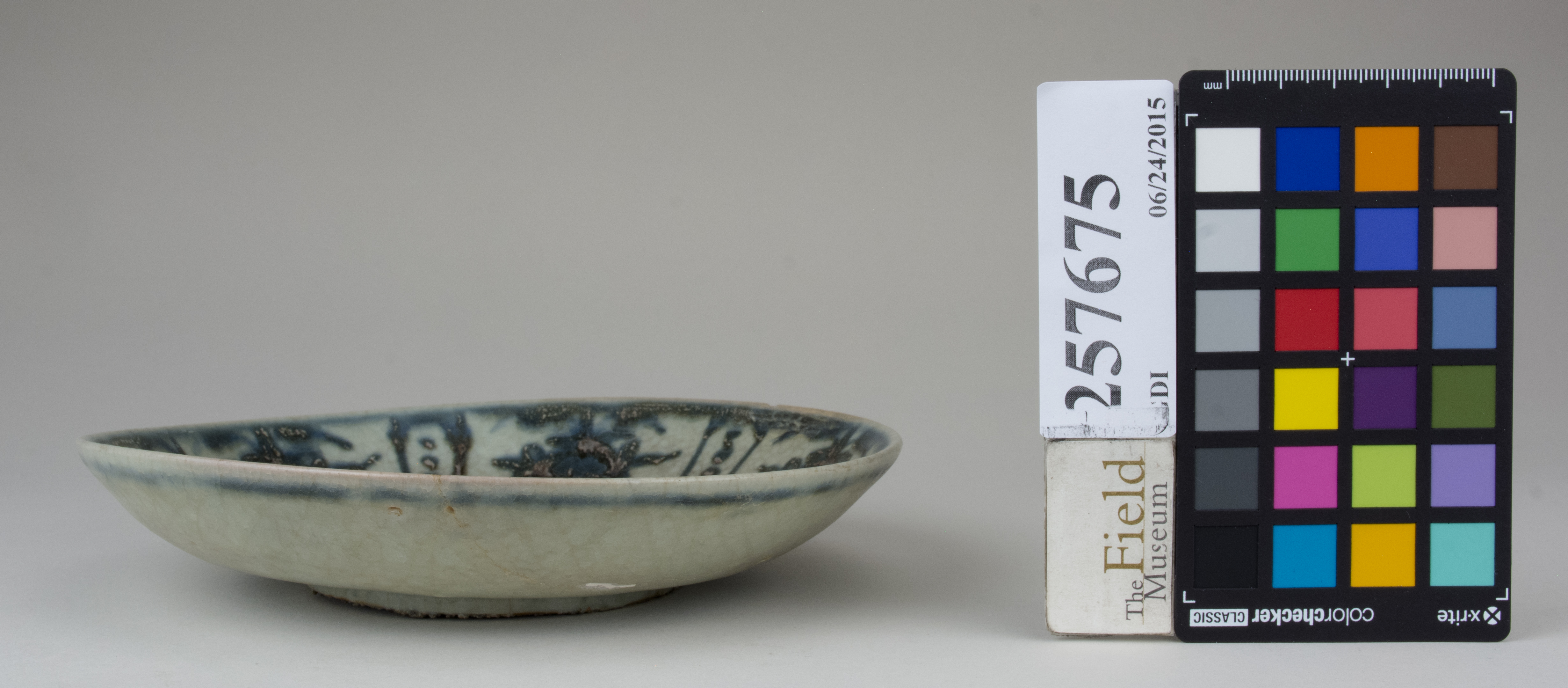 reference image, back (c) Field Museum of Natural History - CC BY-NC 4.0