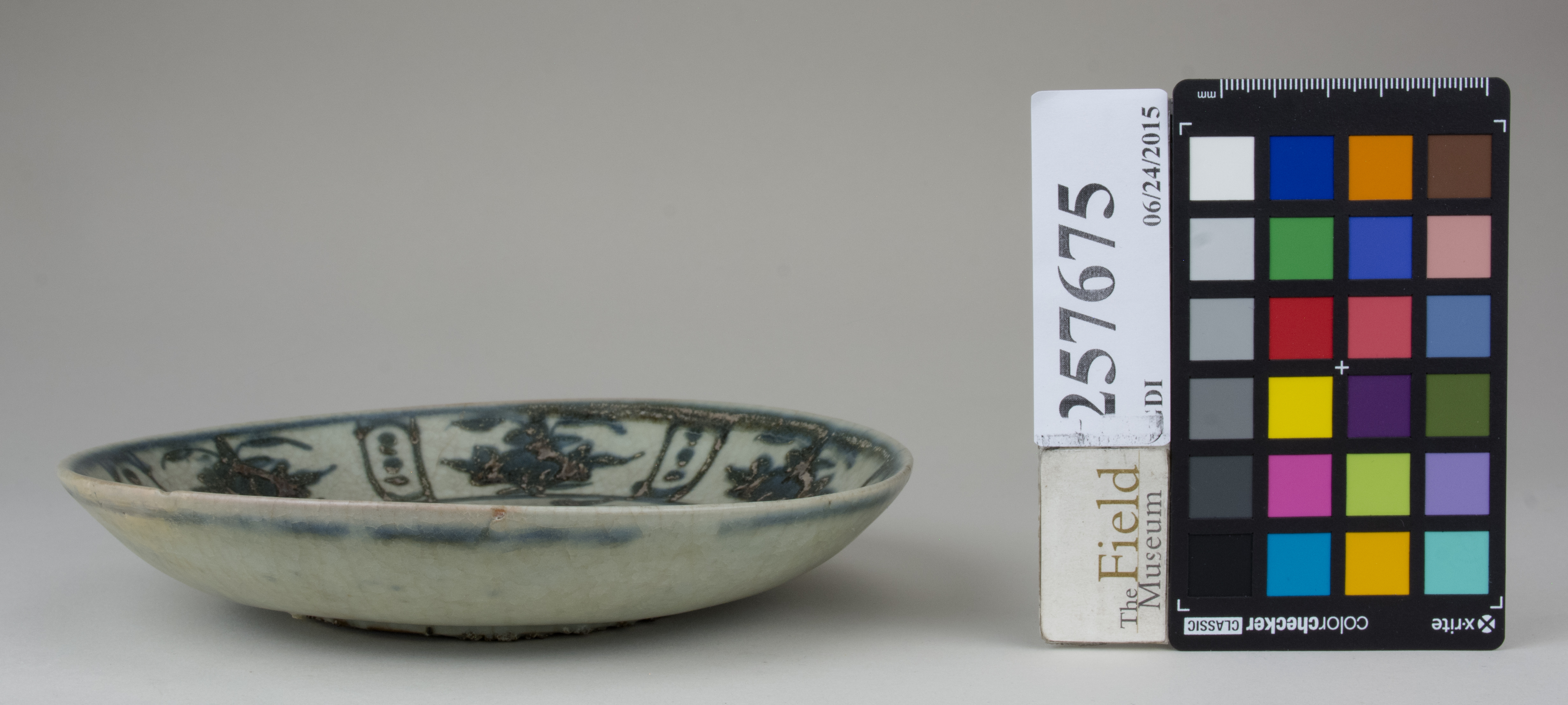 Front (c) Field Museum of Natural History - CC BY-NC 4.0