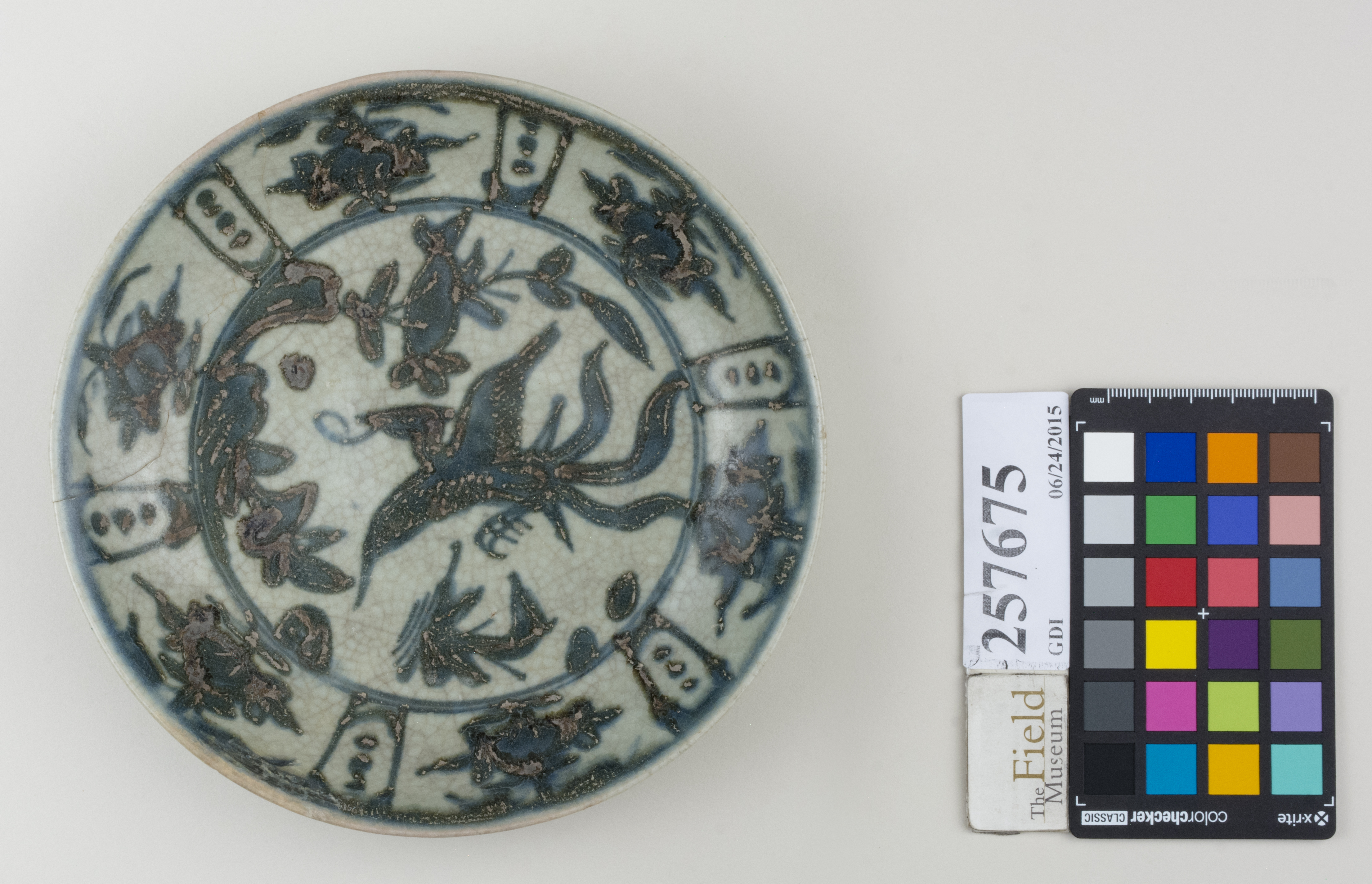 Top (c) Field Museum of Natural History - CC BY-NC 4.0