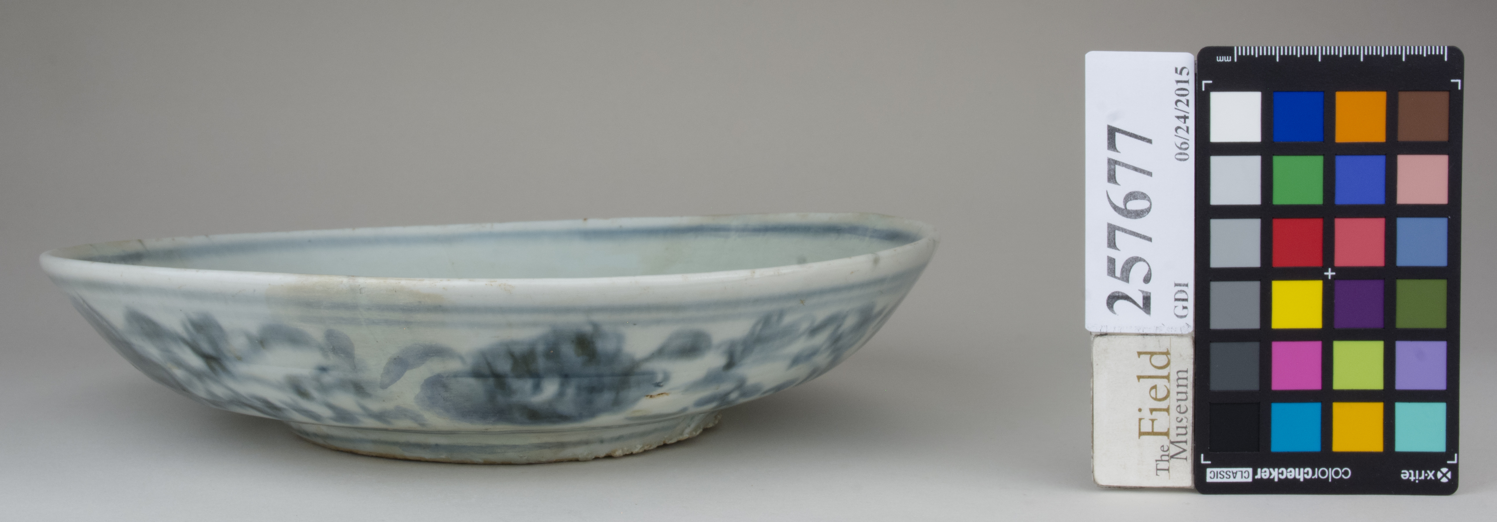 reference image, back (c) Field Museum of Natural History - CC BY-NC 4.0