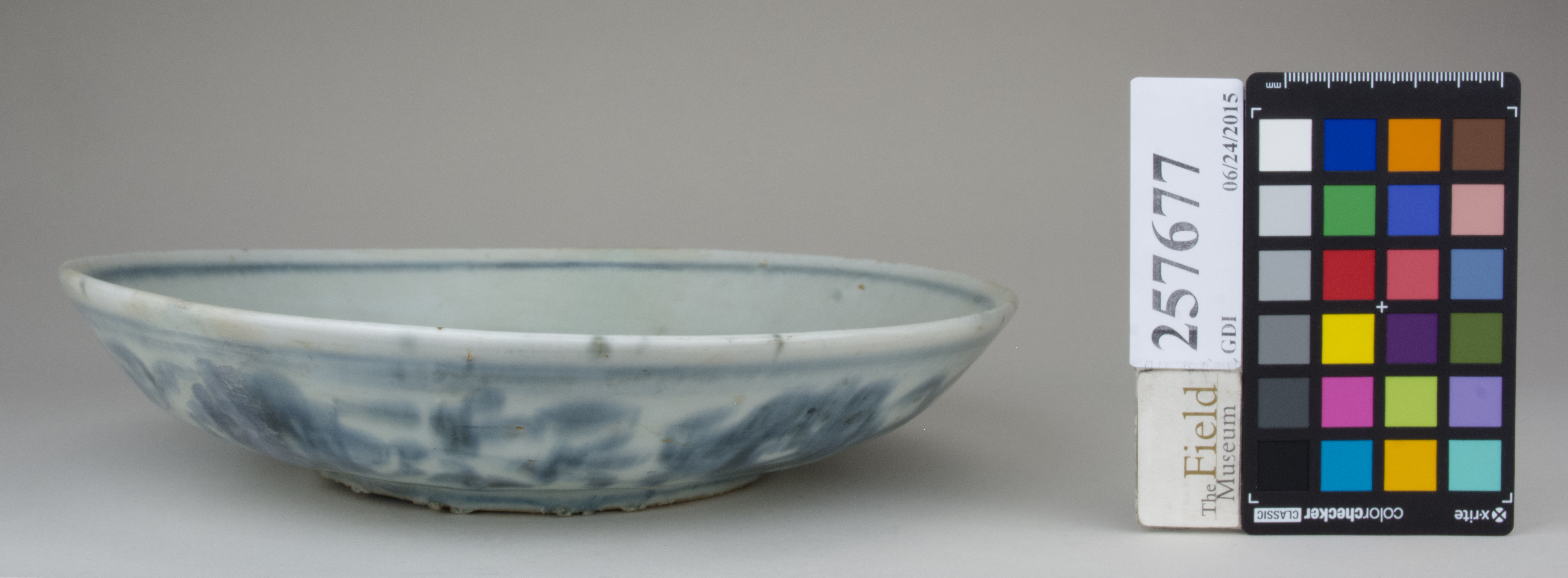 Front (c) Field Museum of Natural History - CC BY-NC 4.0