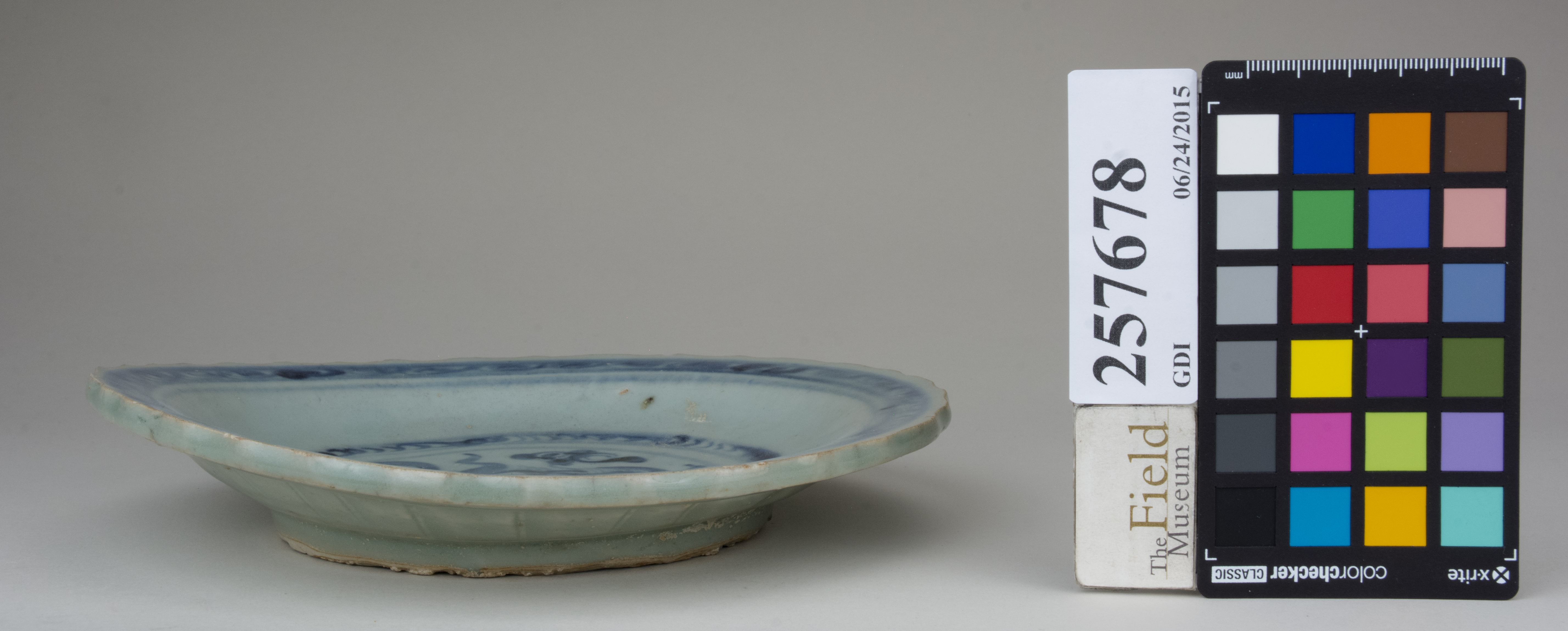 reference image, back (c) Field Museum of Natural History - CC BY-NC 4.0