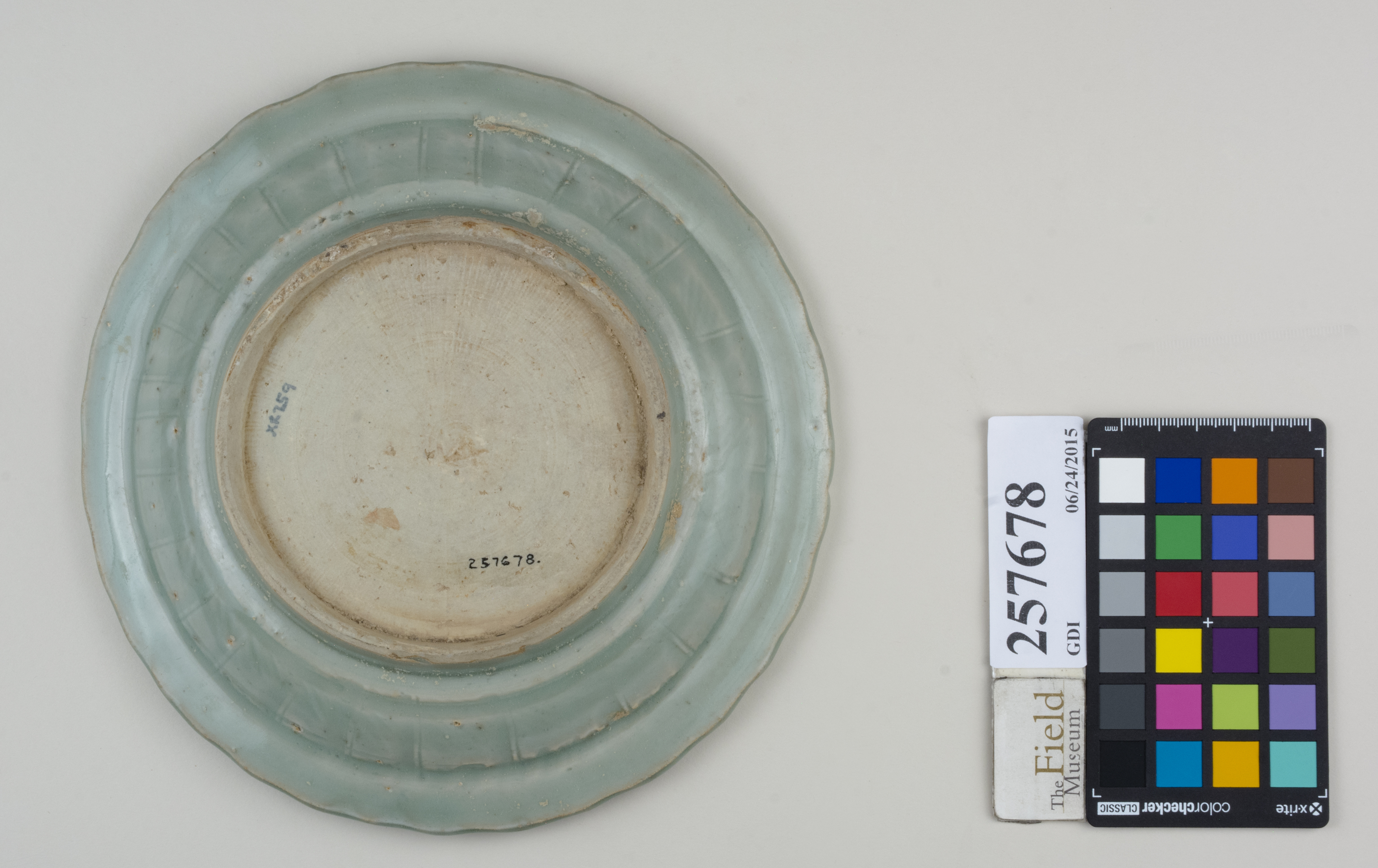 Bottom (c) Field Museum of Natural History - CC BY-NC 4.0