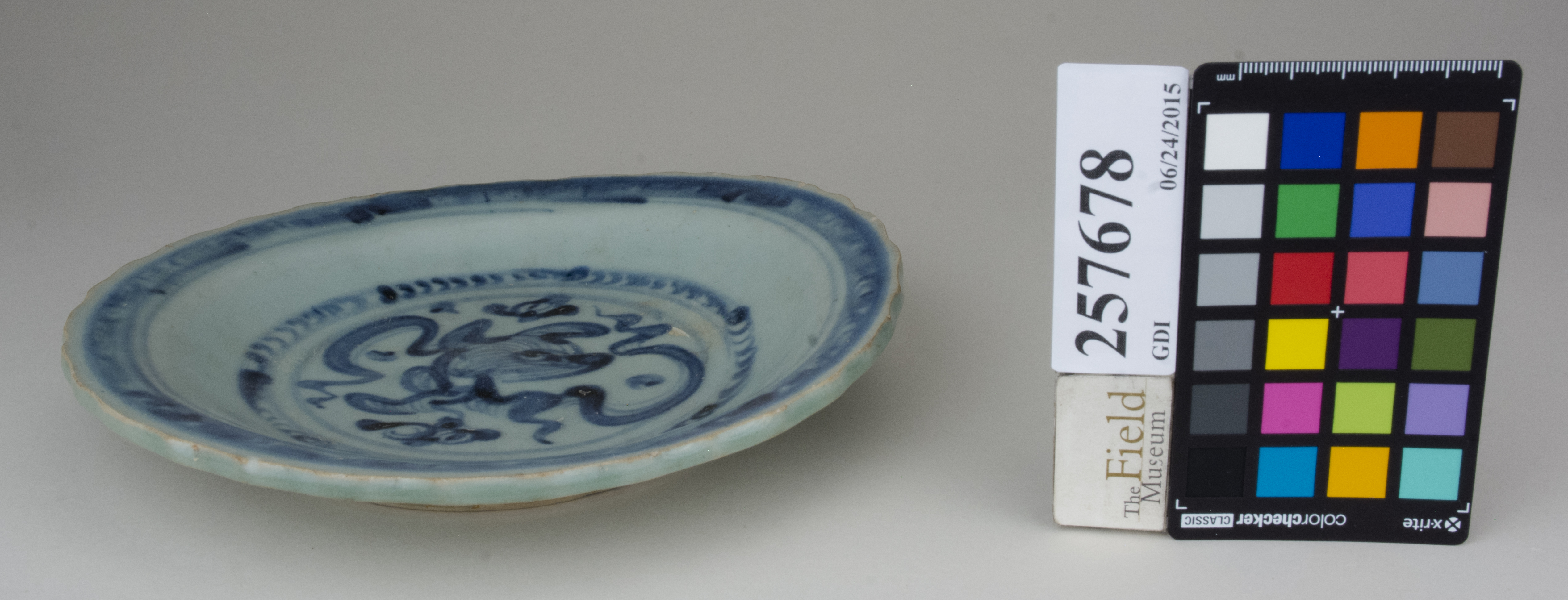 FrontAngle (c) Field Museum of Natural History - CC BY-NC 4.0