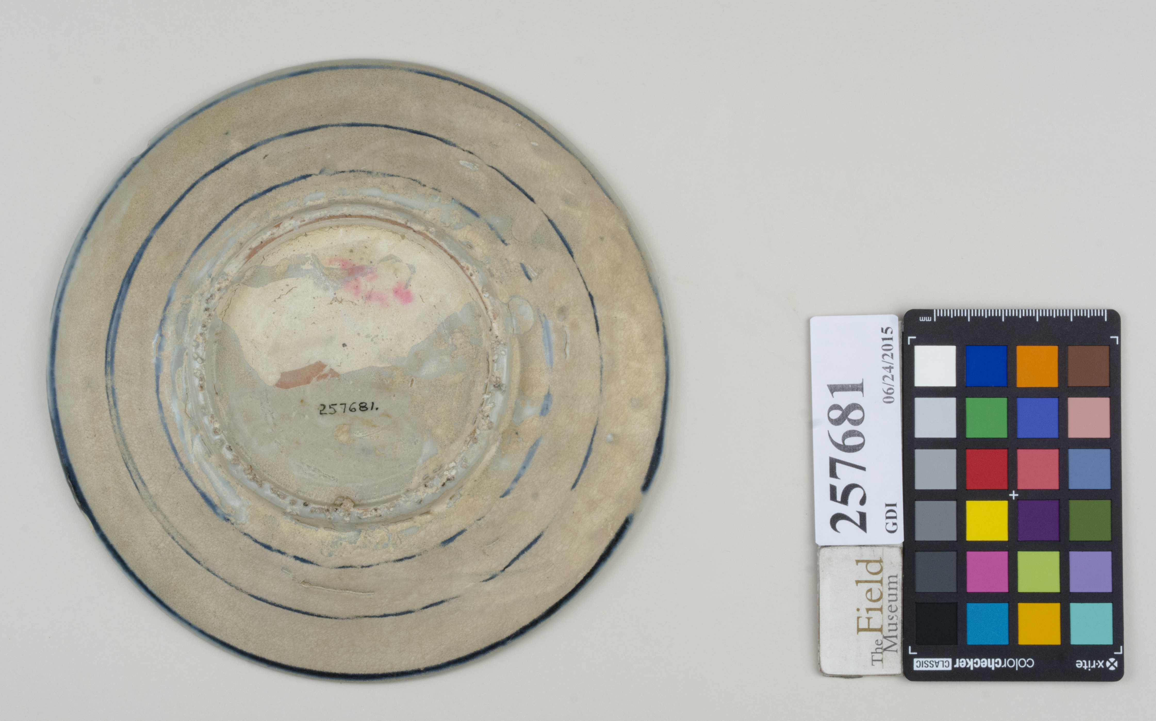 Bottom (c) Field Museum of Natural History - CC BY-NC 4.0