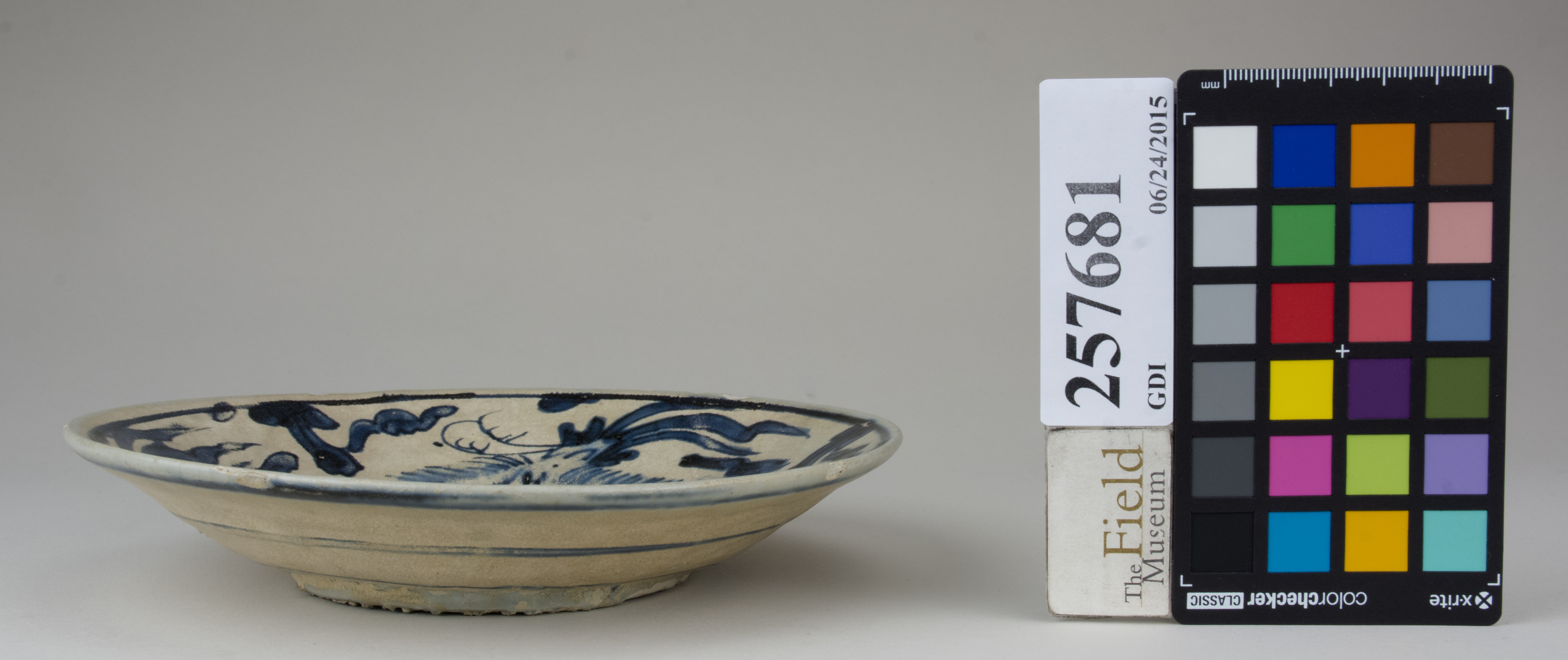 Front (c) Field Museum of Natural History - CC BY-NC 4.0