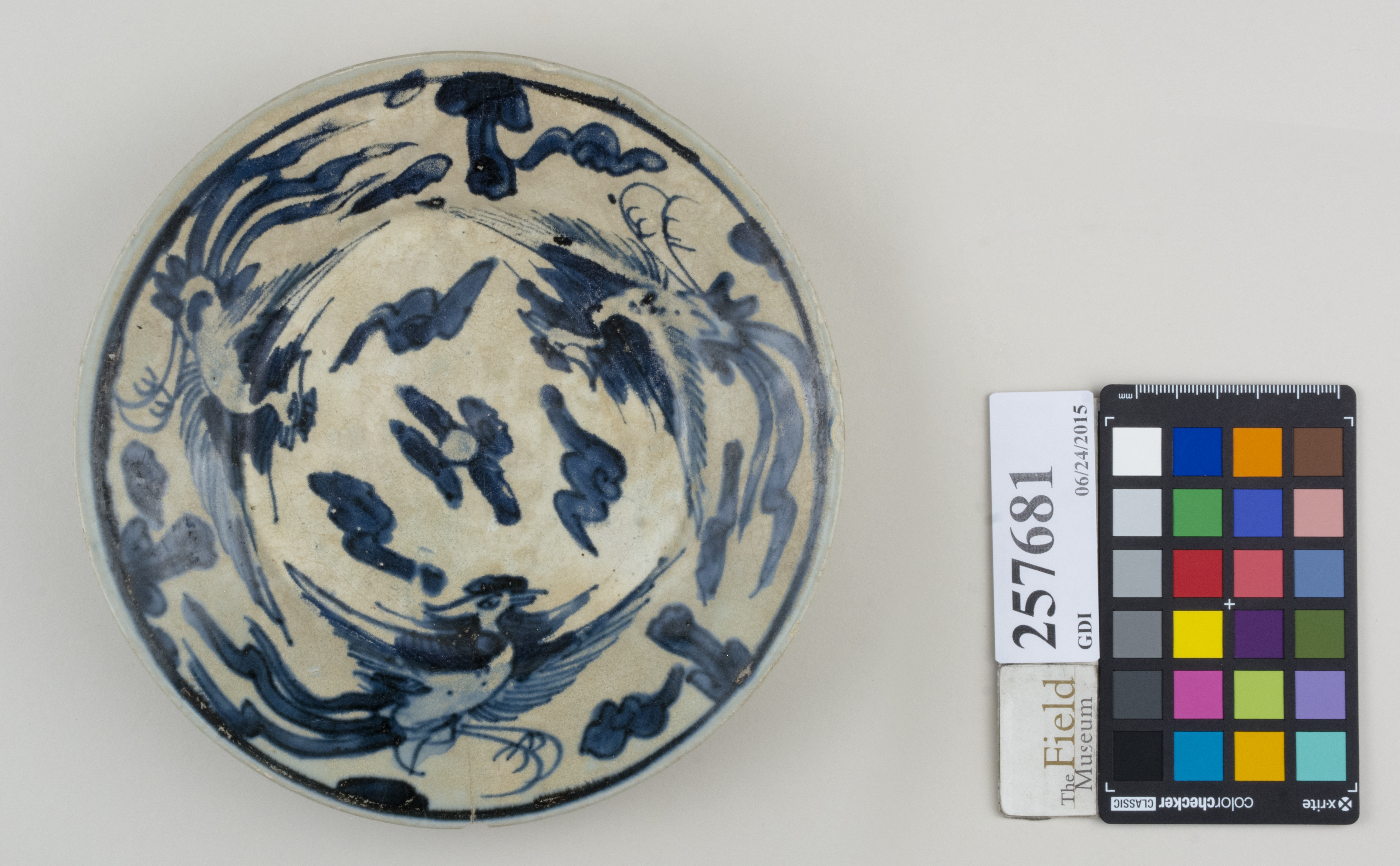 Top (c) Field Museum of Natural History - CC BY-NC 4.0