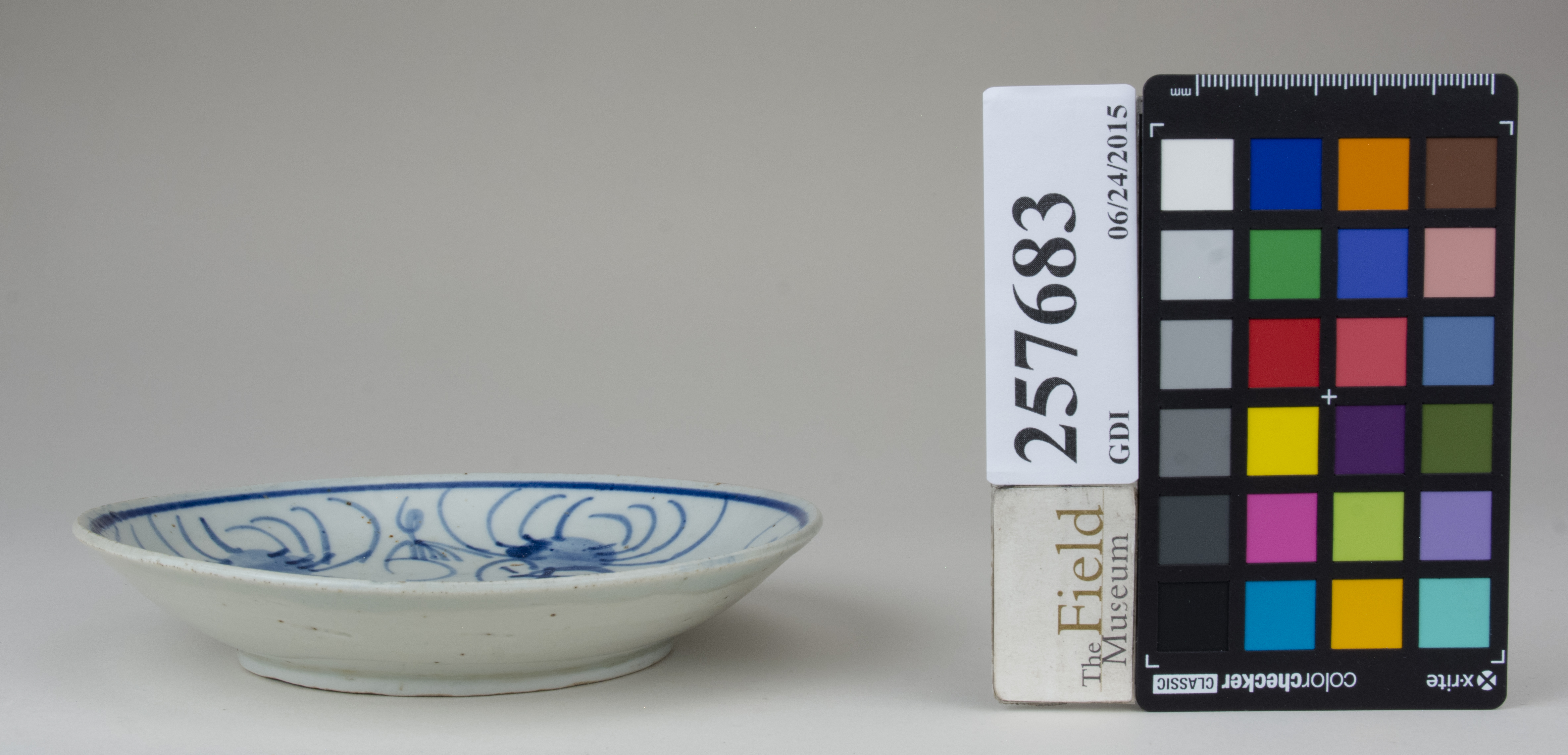 reference image, back (c) Field Museum of Natural History - CC BY-NC 4.0