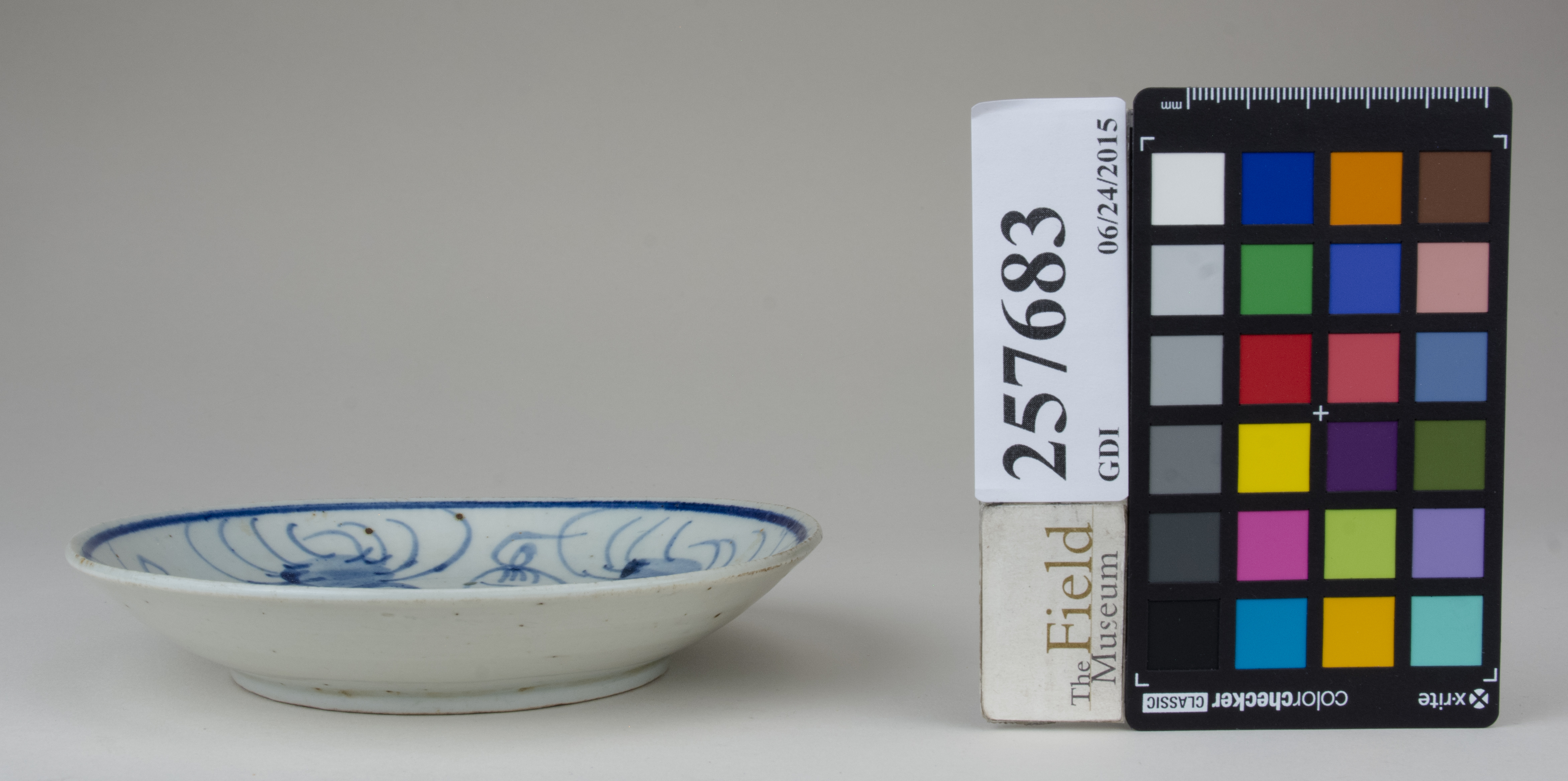 Front (c) Field Museum of Natural History - CC BY-NC 4.0