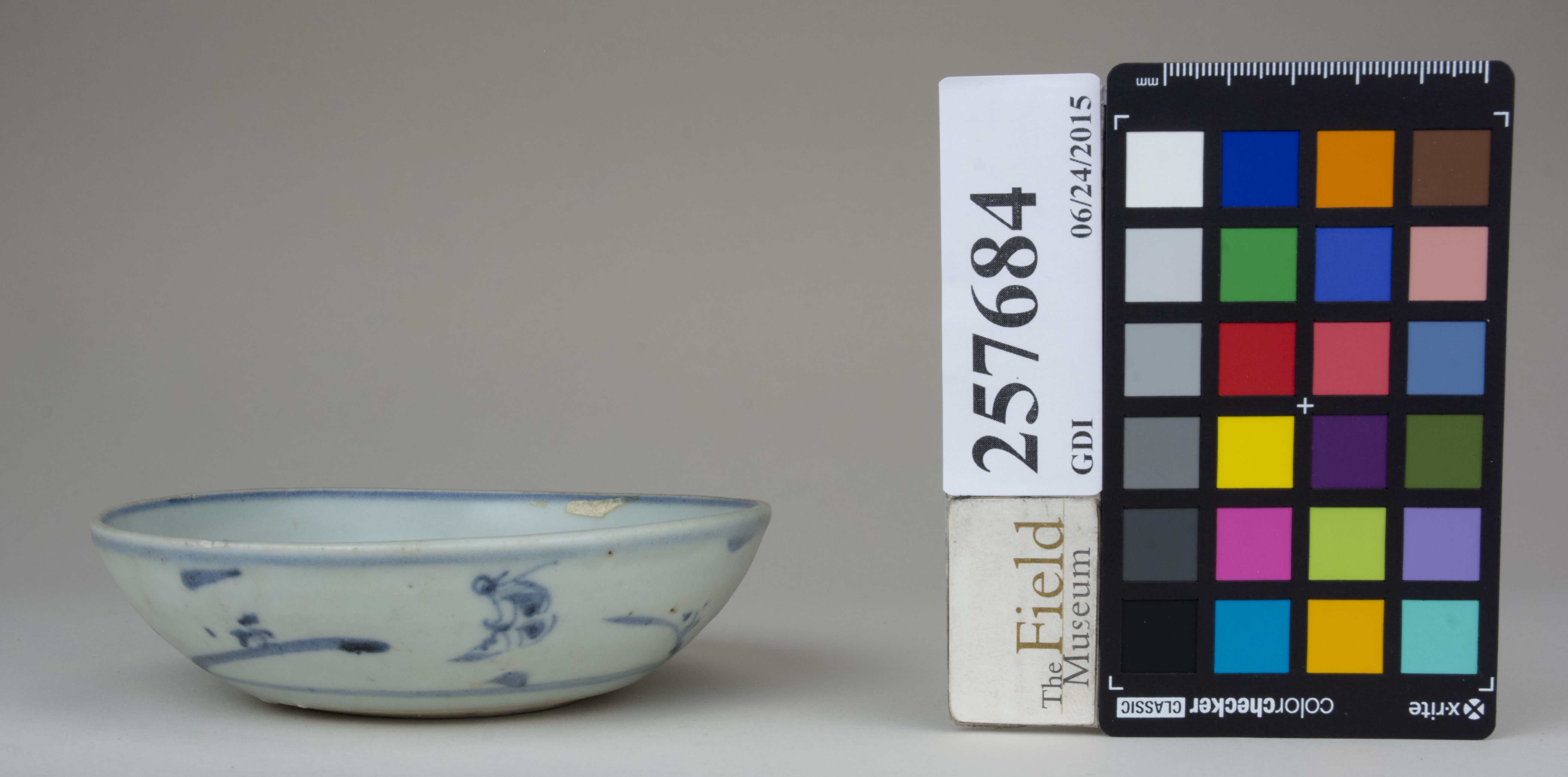 reference image, back (c) Field Museum of Natural History - CC BY-NC 4.0