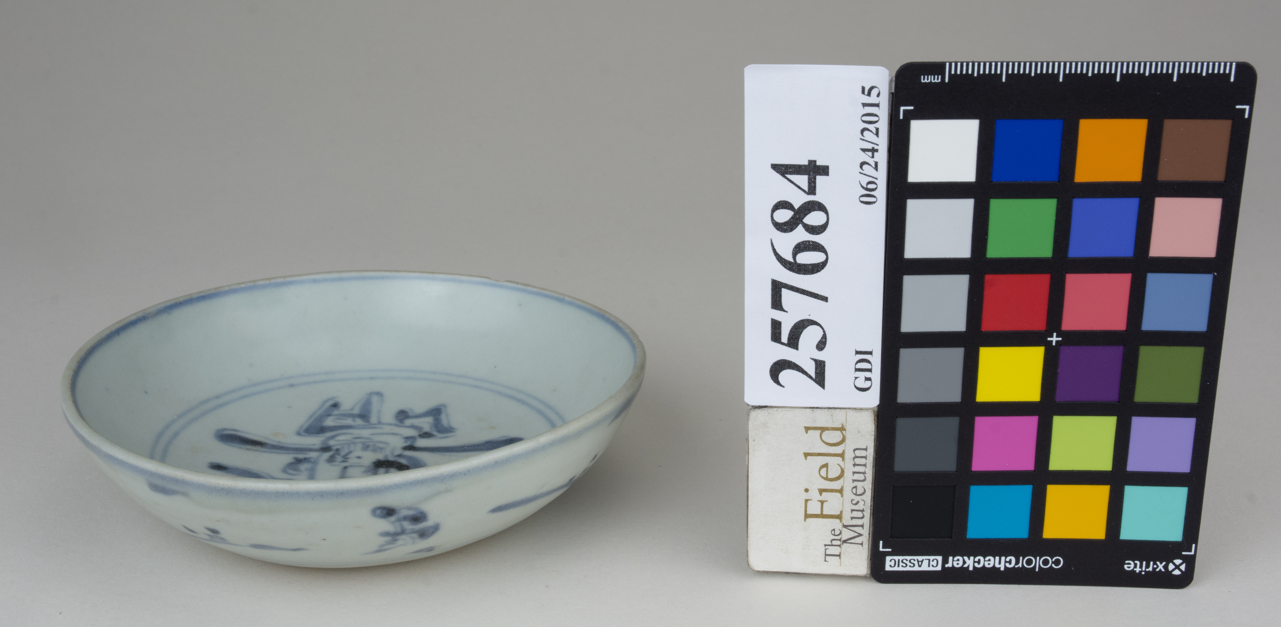 FrontAngle (c) Field Museum of Natural History - CC BY-NC 4.0