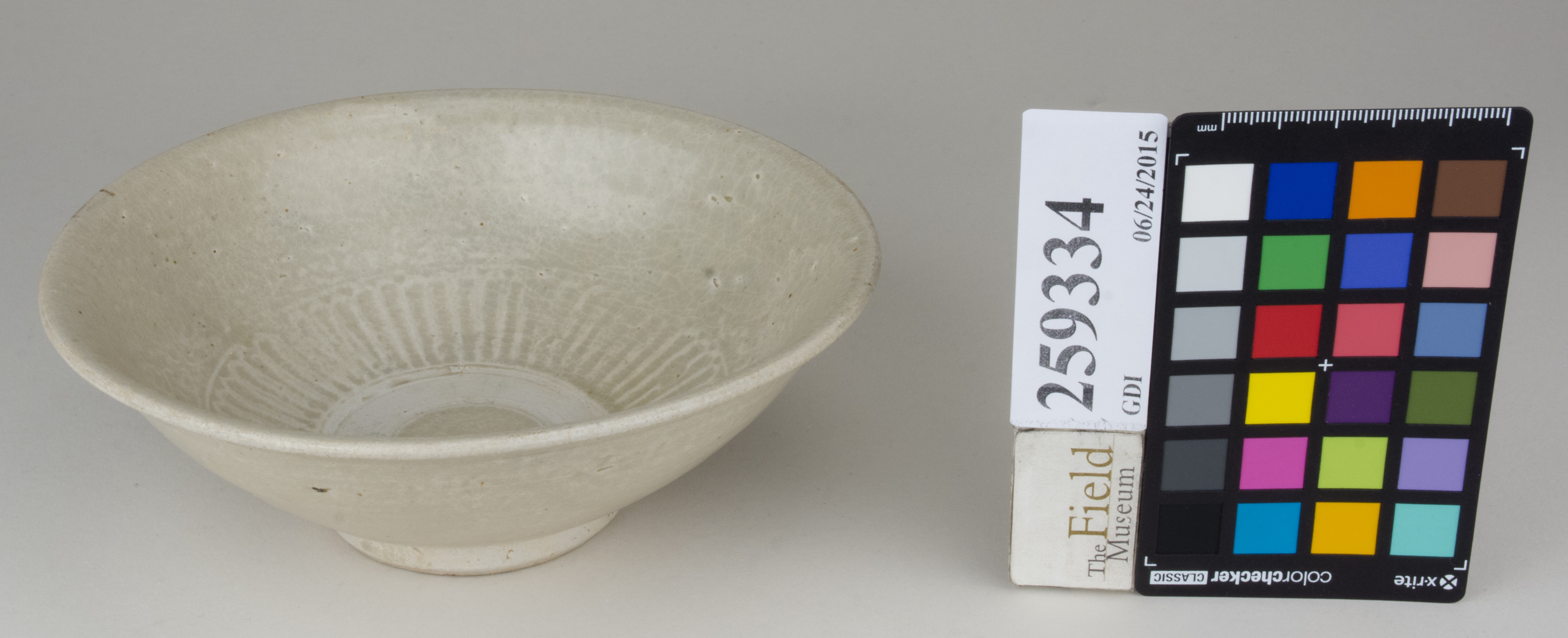 FrontAngle (c) Field Museum of Natural History - CC BY-NC 4.0