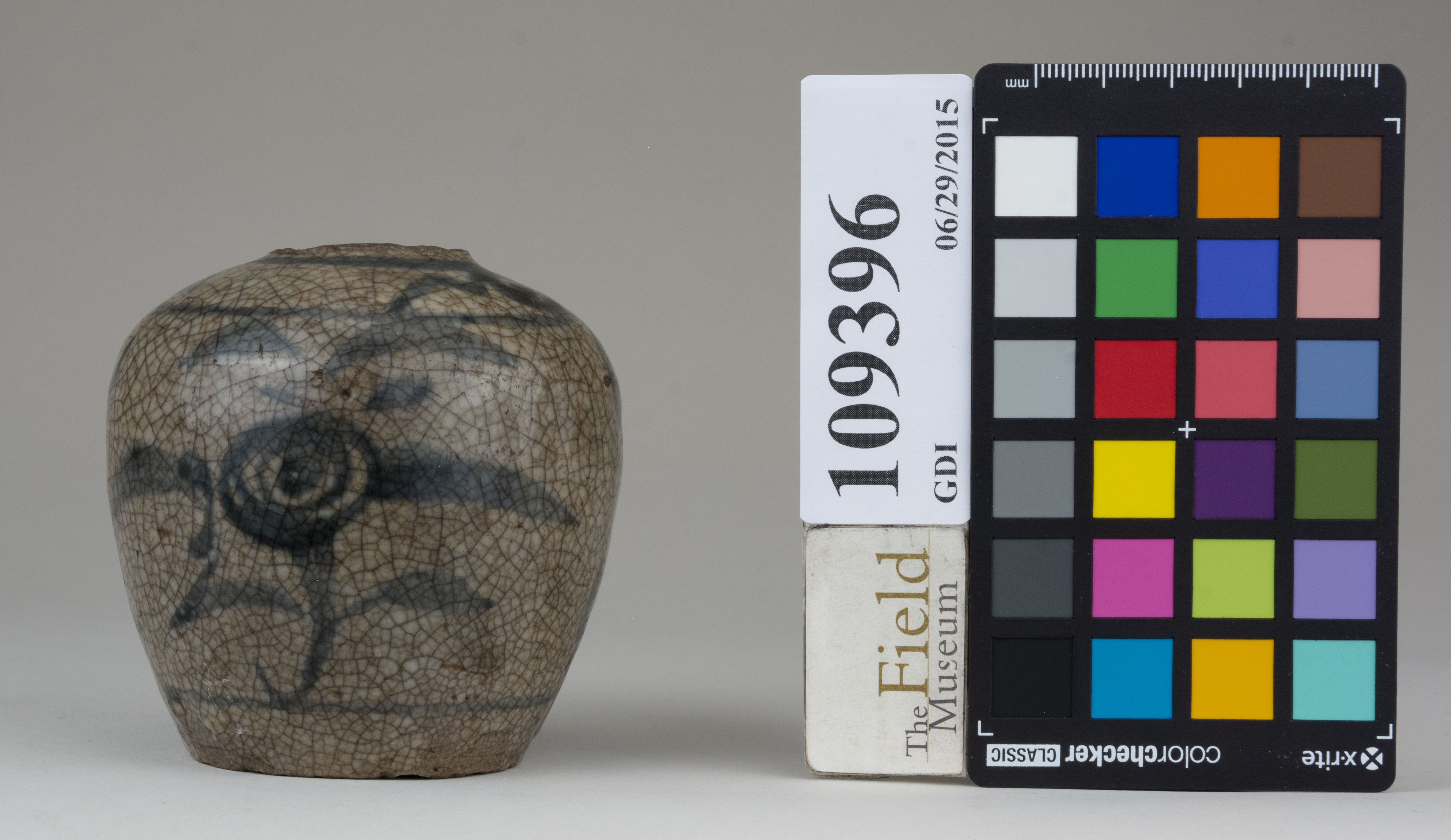 reference image, back (c) Field Museum of Natural History - CC BY-NC 4.0