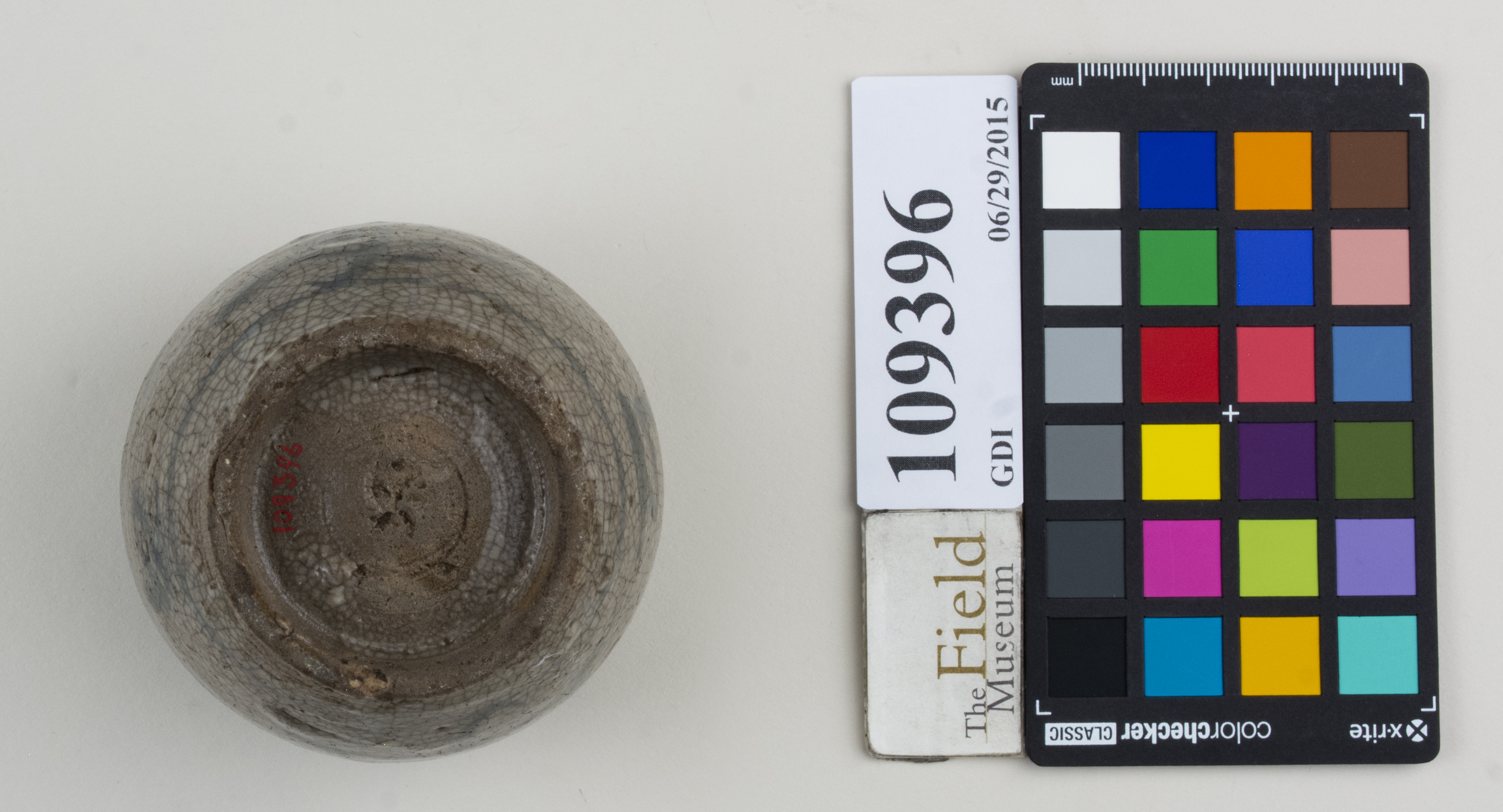 Bottom (c) Field Museum of Natural History - CC BY-NC 4.0