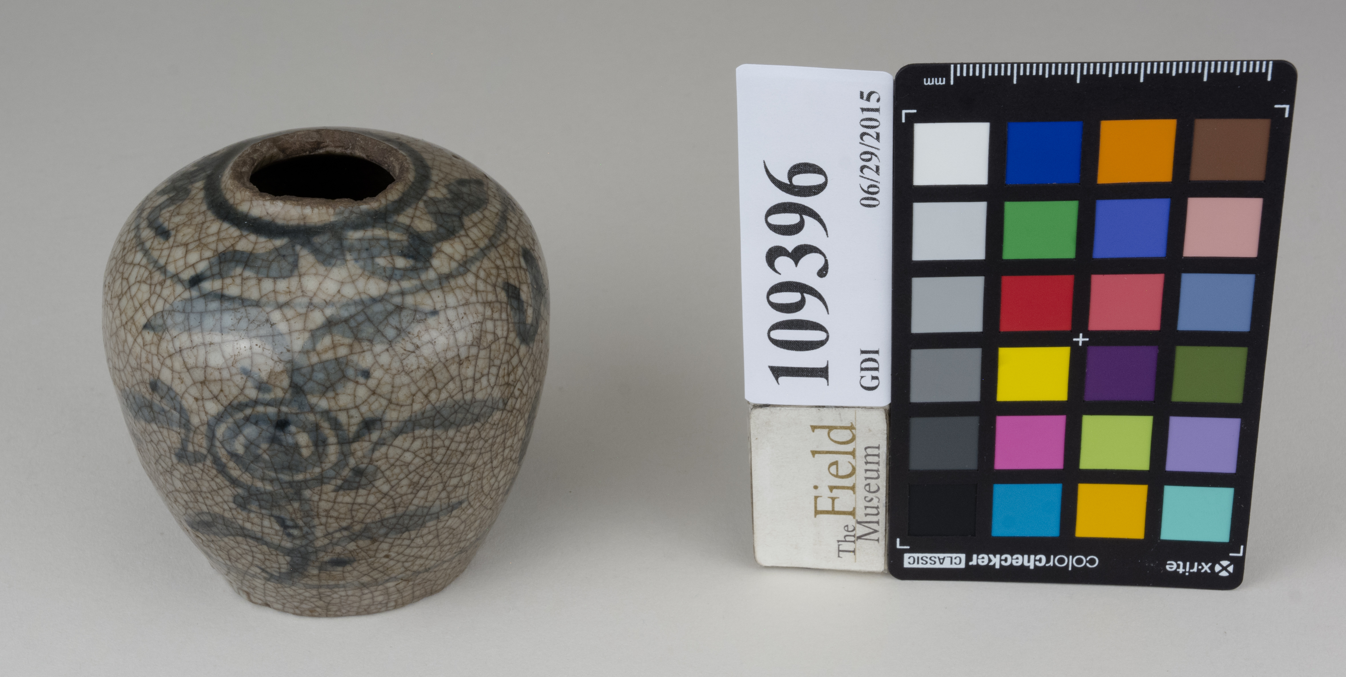 FrontAngle (c) Field Museum of Natural History - CC BY-NC 4.0