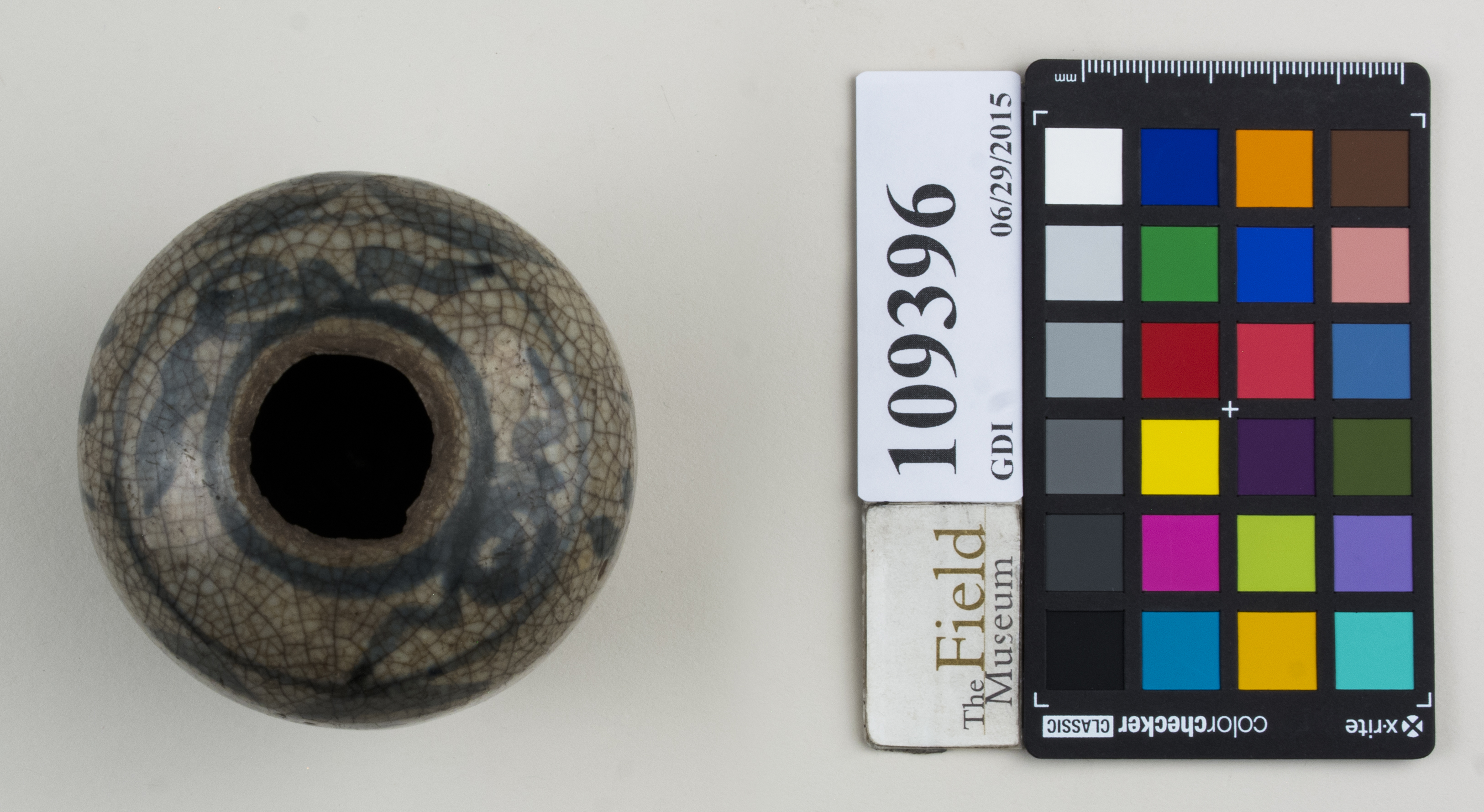 Top (c) Field Museum of Natural History - CC BY-NC 4.0