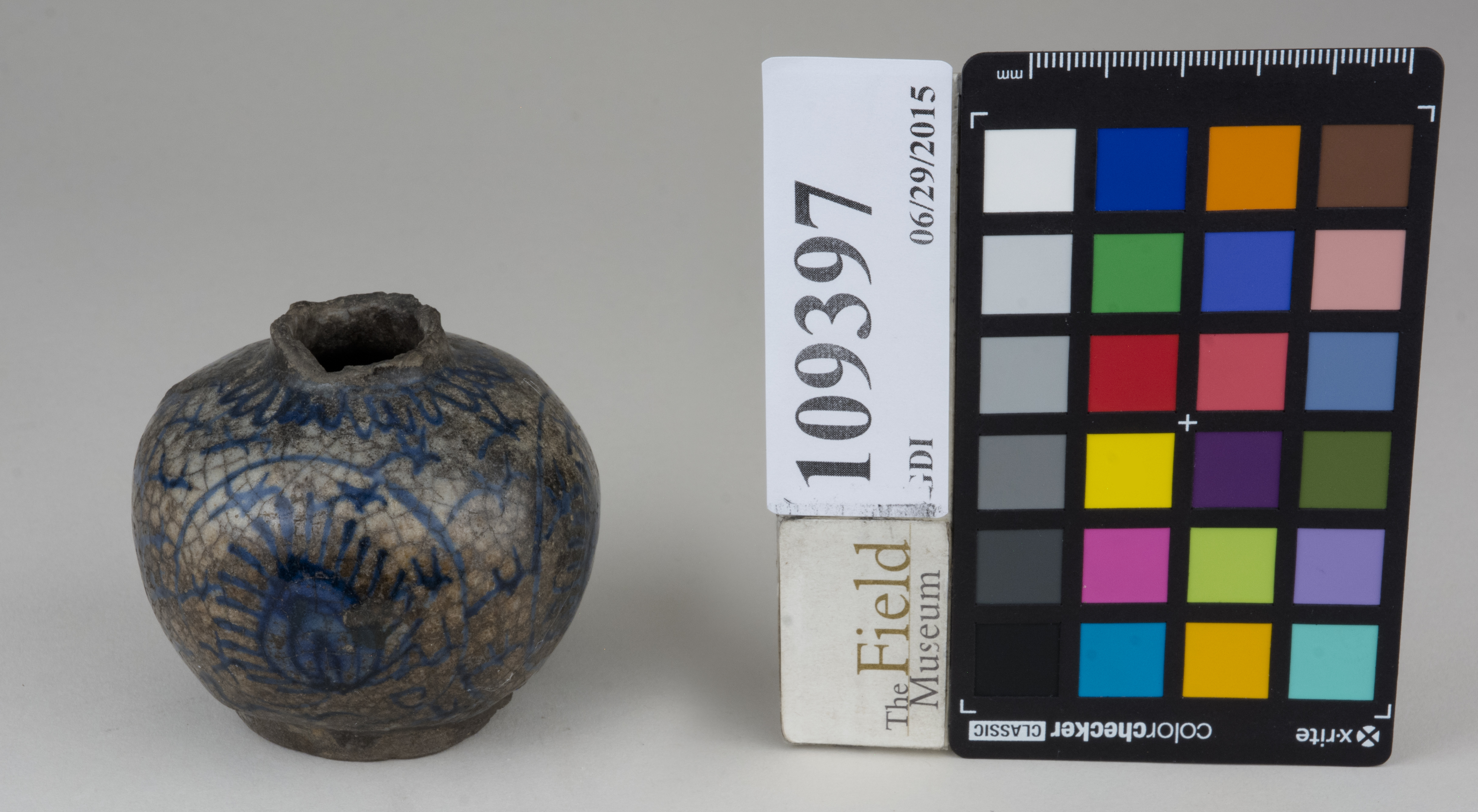 FrontAngle (c) Field Museum of Natural History - CC BY-NC 4.0