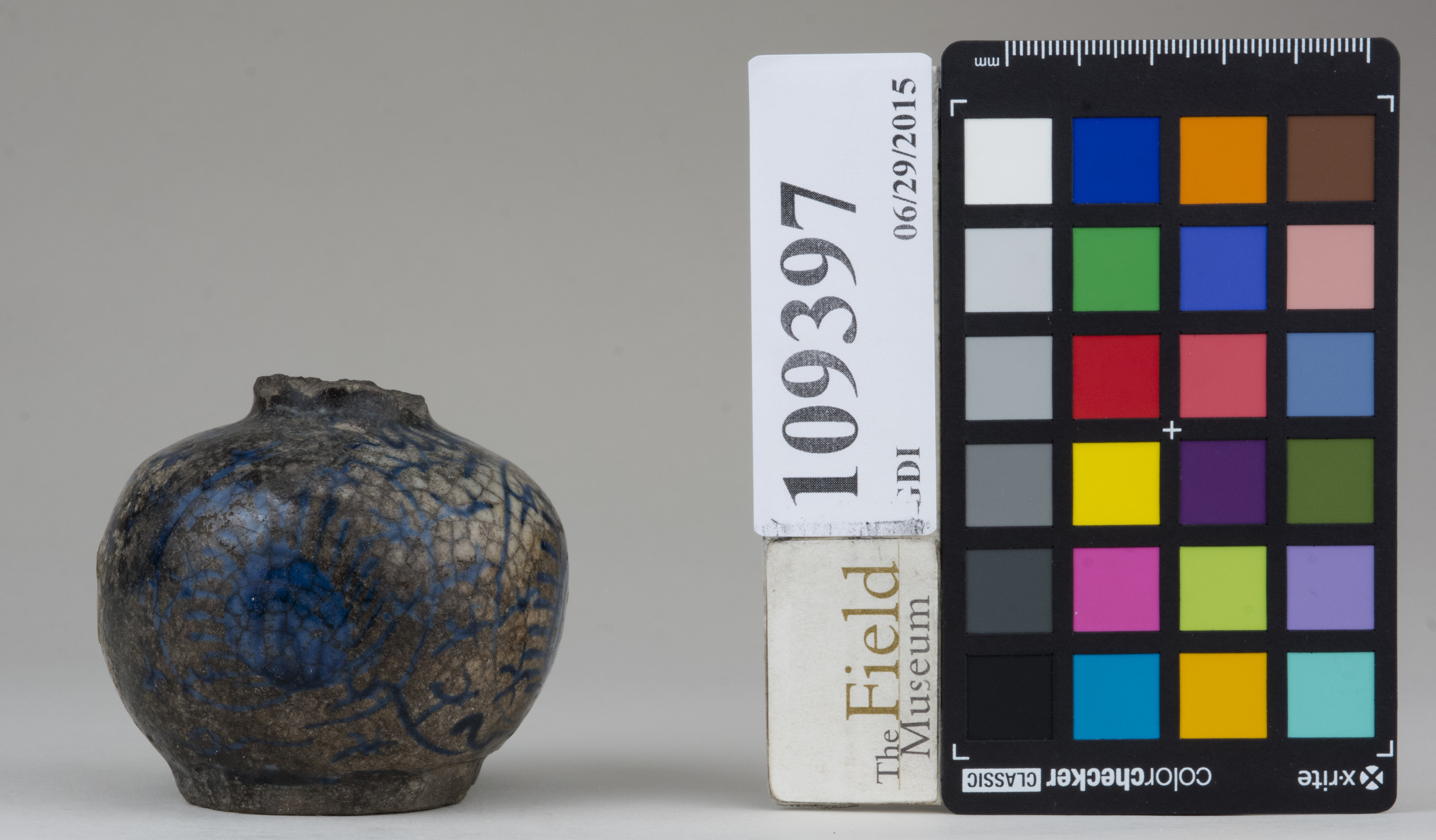 Right (c) Field Museum of Natural History - CC BY-NC 4.0