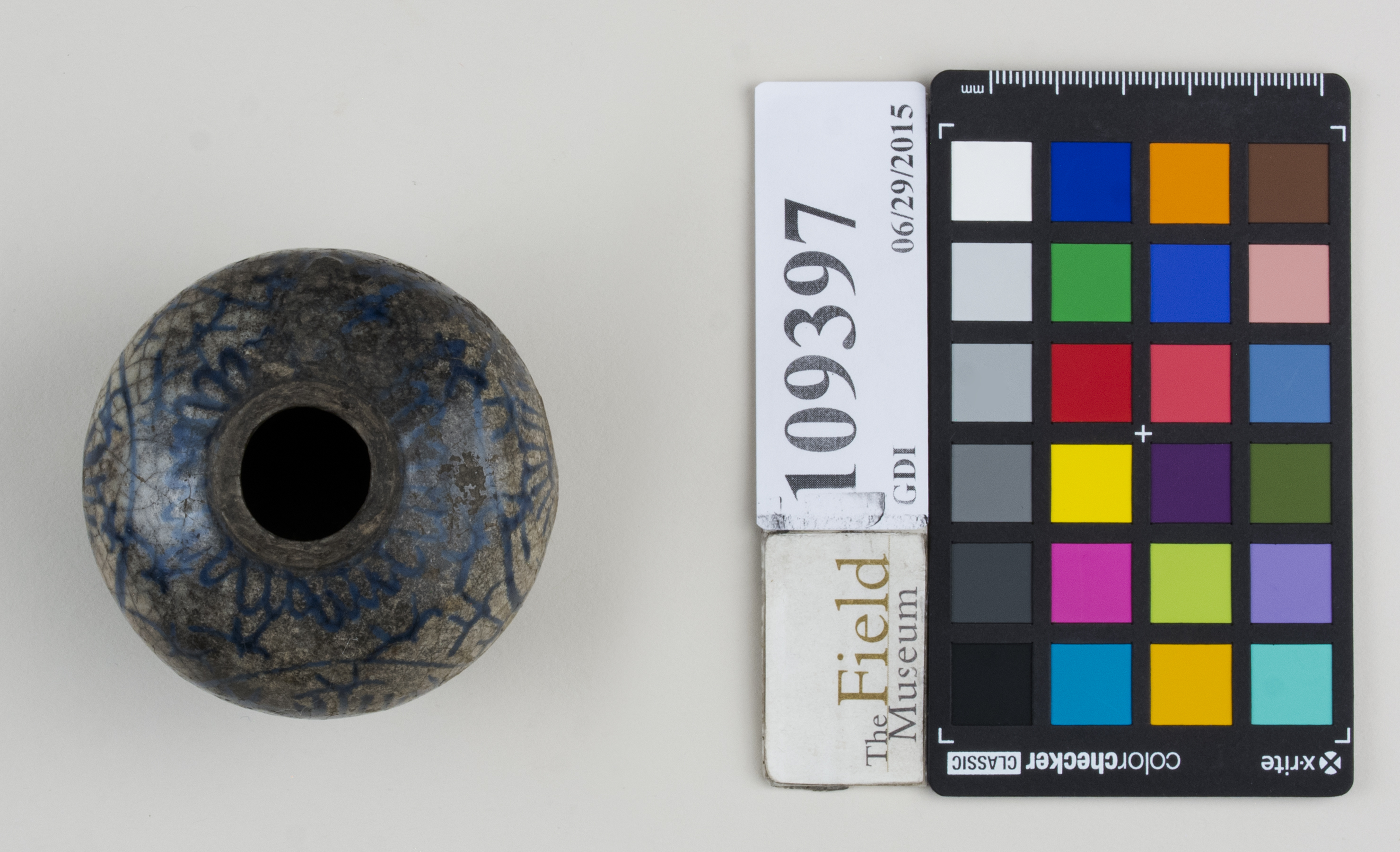 Top (c) Field Museum of Natural History - CC BY-NC 4.0