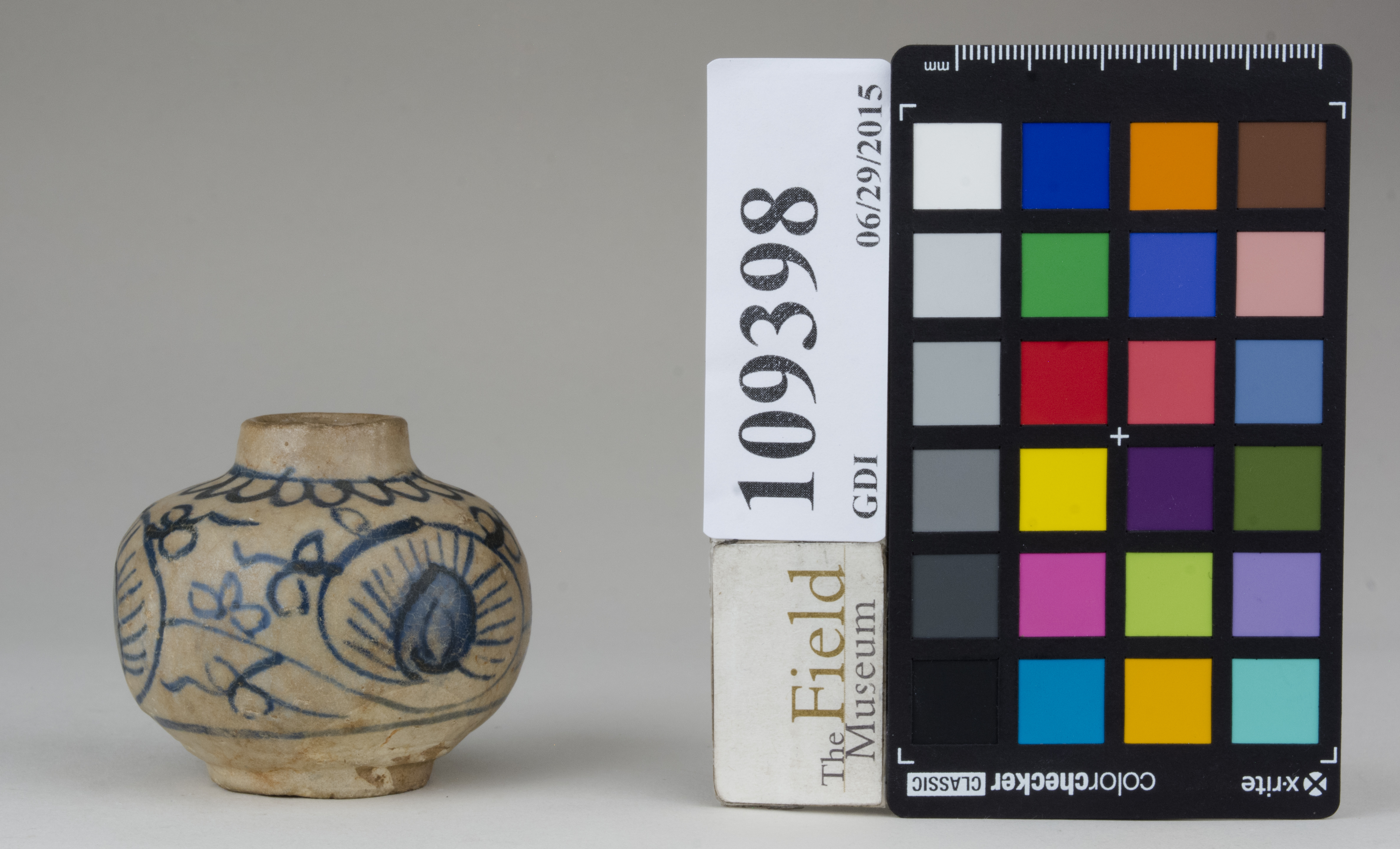 reference image, back (c) Field Museum of Natural History - CC BY-NC 4.0