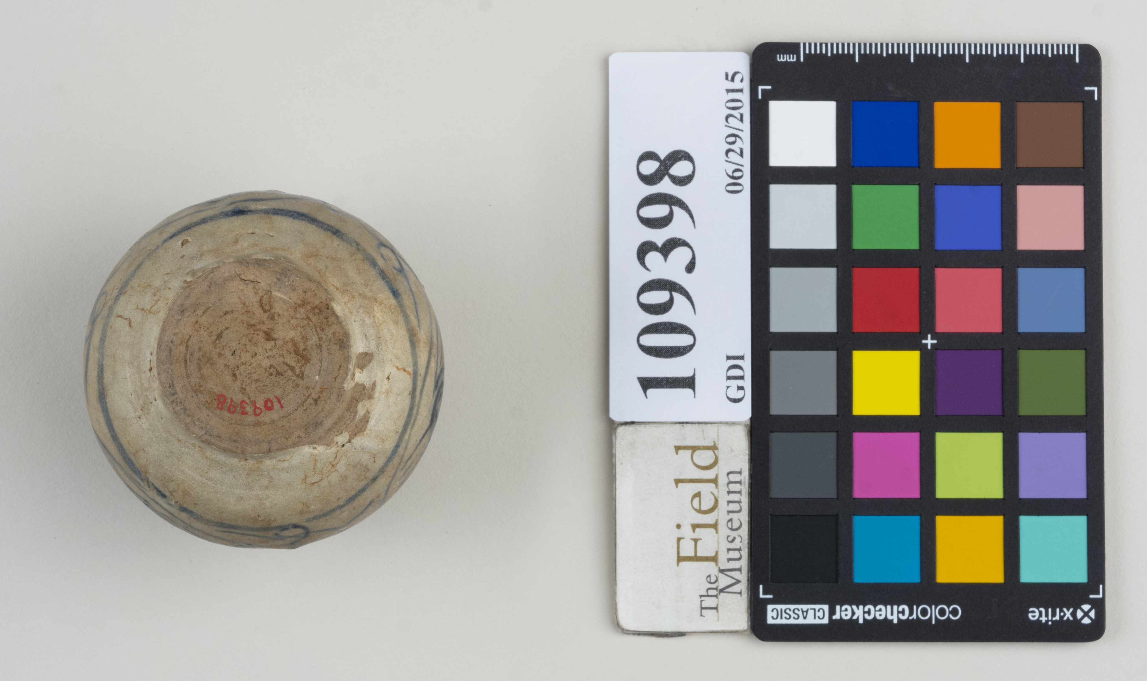 Bottom (c) Field Museum of Natural History - CC BY-NC 4.0