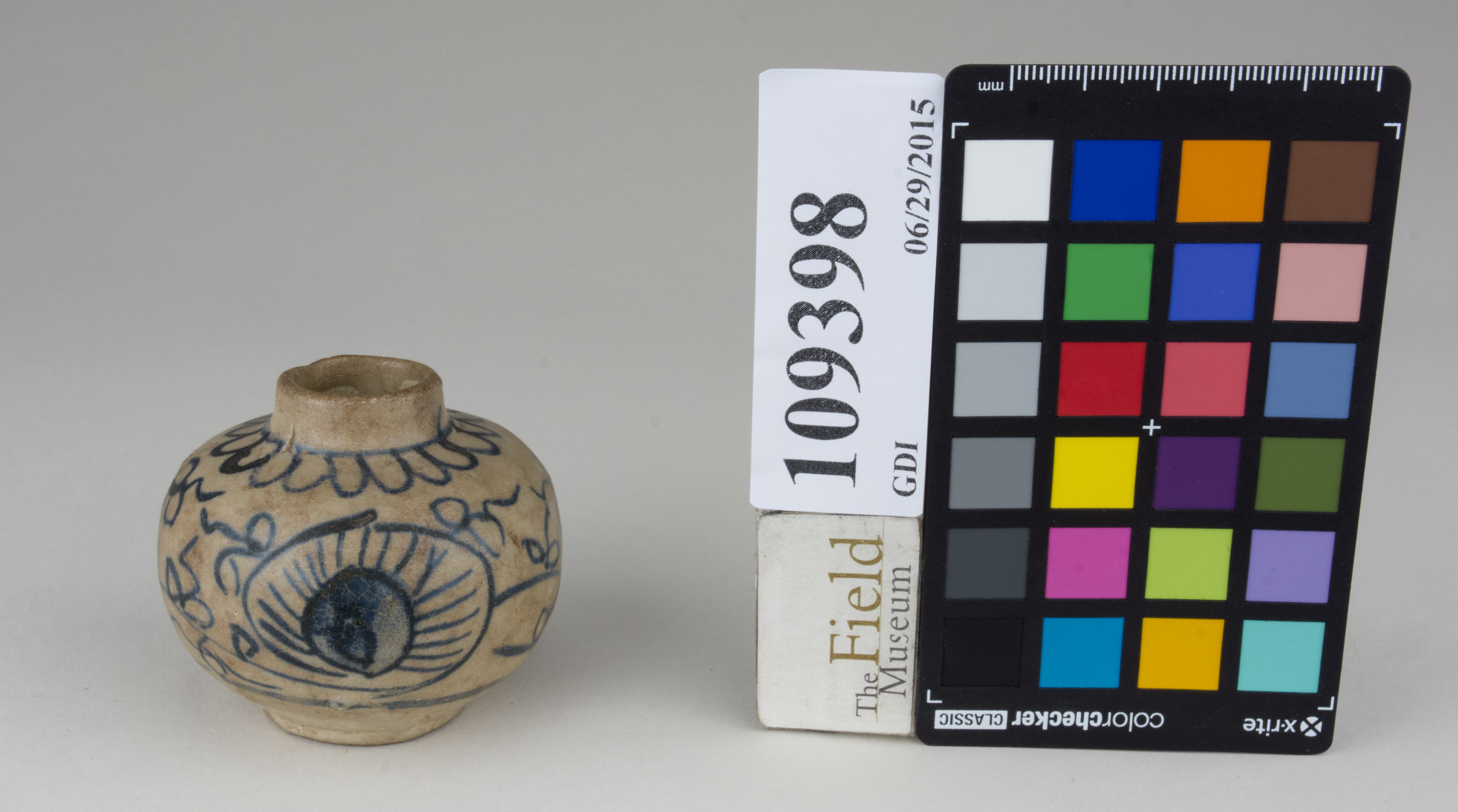 FrontAngle (c) Field Museum of Natural History - CC BY-NC 4.0