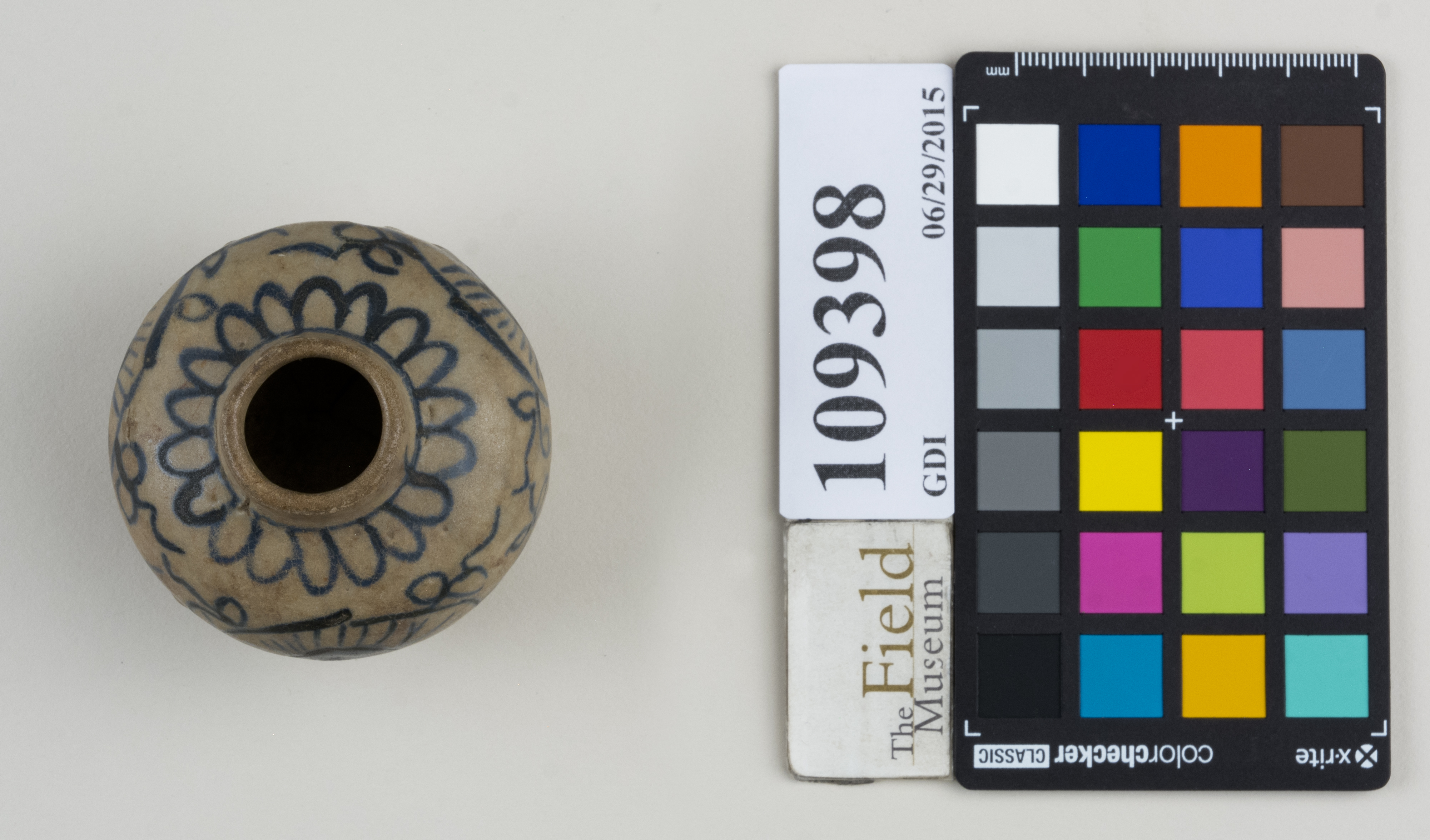 Top (c) Field Museum of Natural History - CC BY-NC 4.0