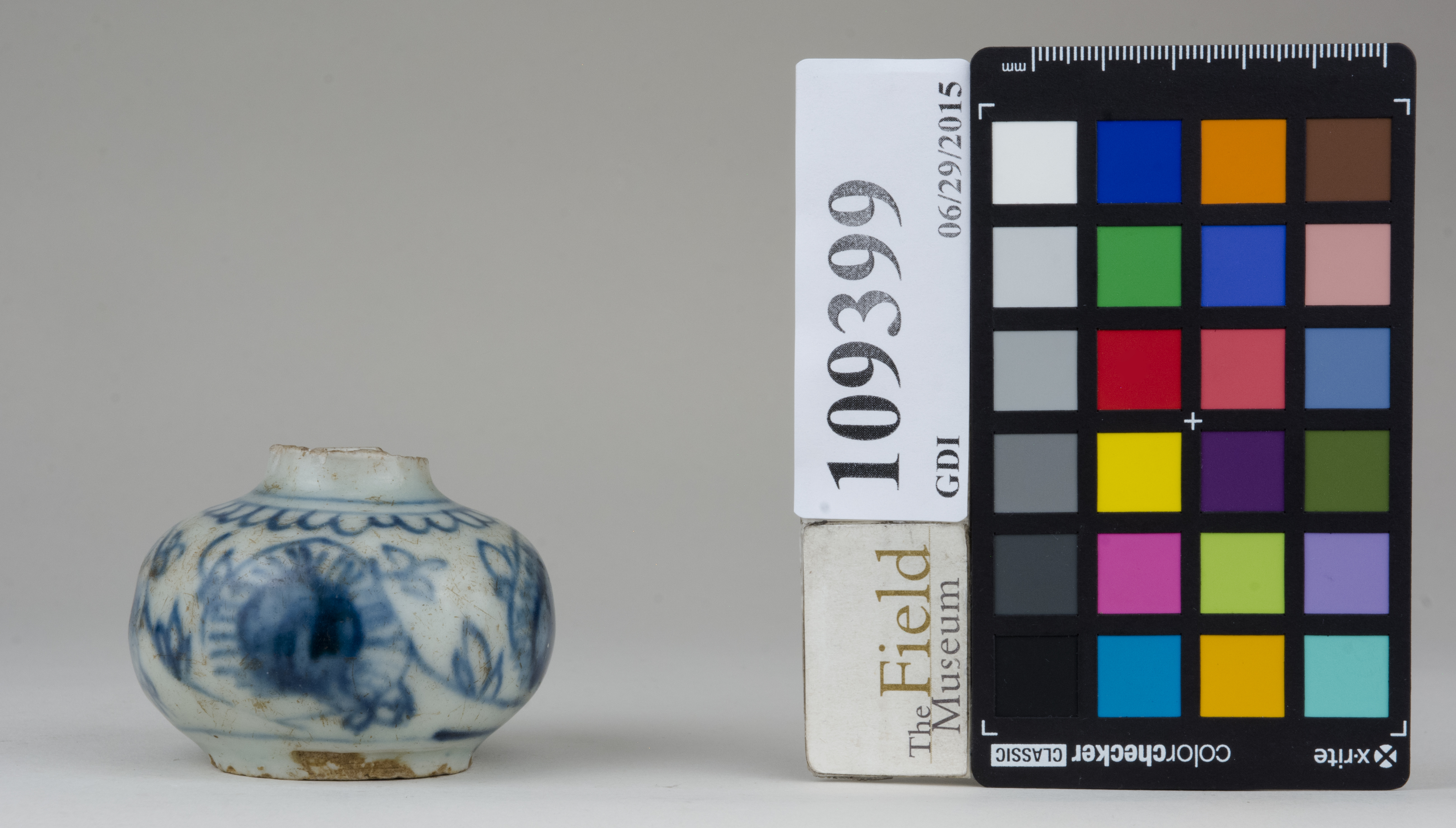 reference image, back (c) Field Museum of Natural History - CC BY-NC 4.0