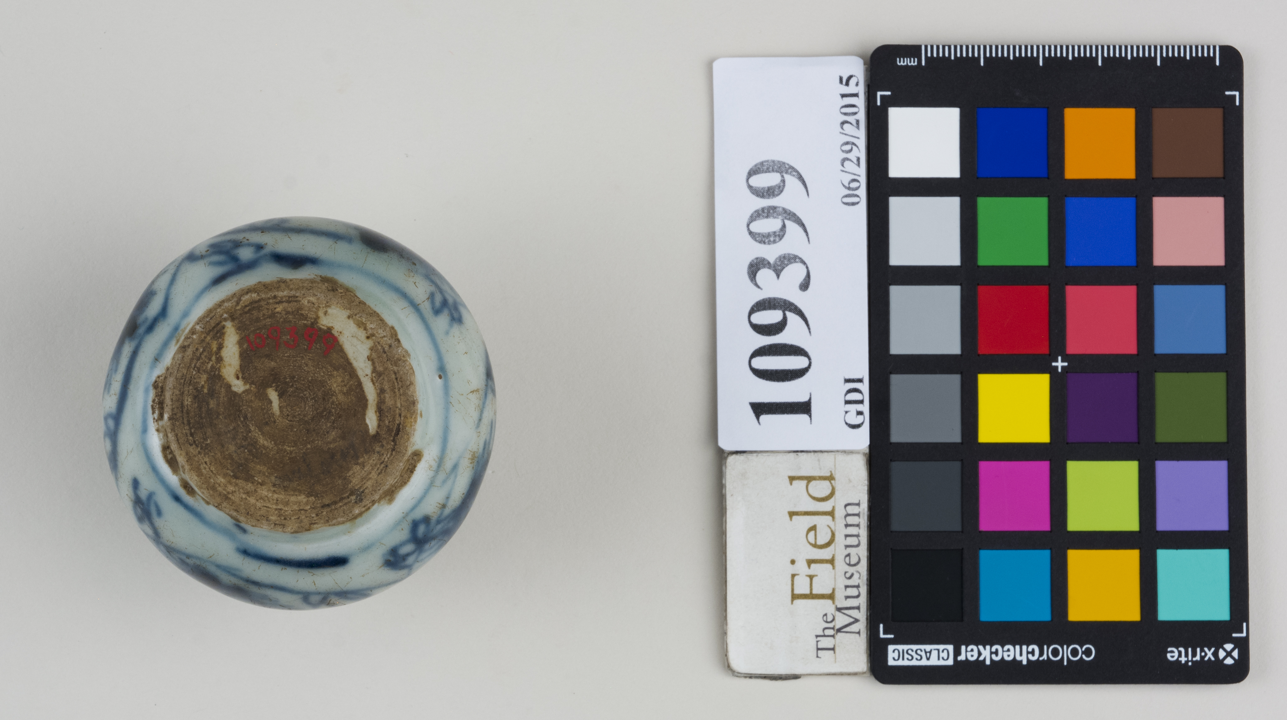 Bottom (c) Field Museum of Natural History - CC BY-NC 4.0