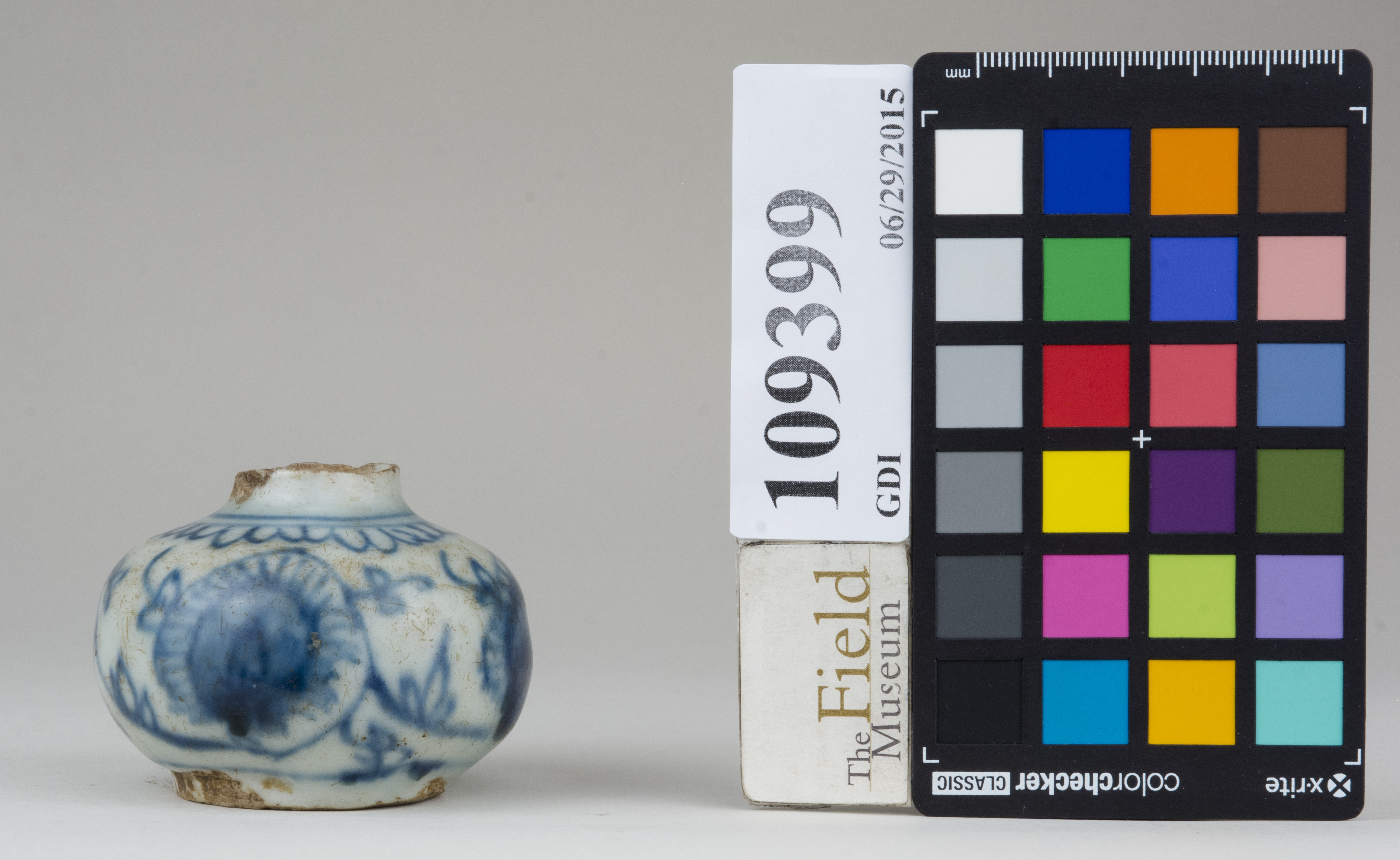 Front (c) Field Museum of Natural History - CC BY-NC 4.0