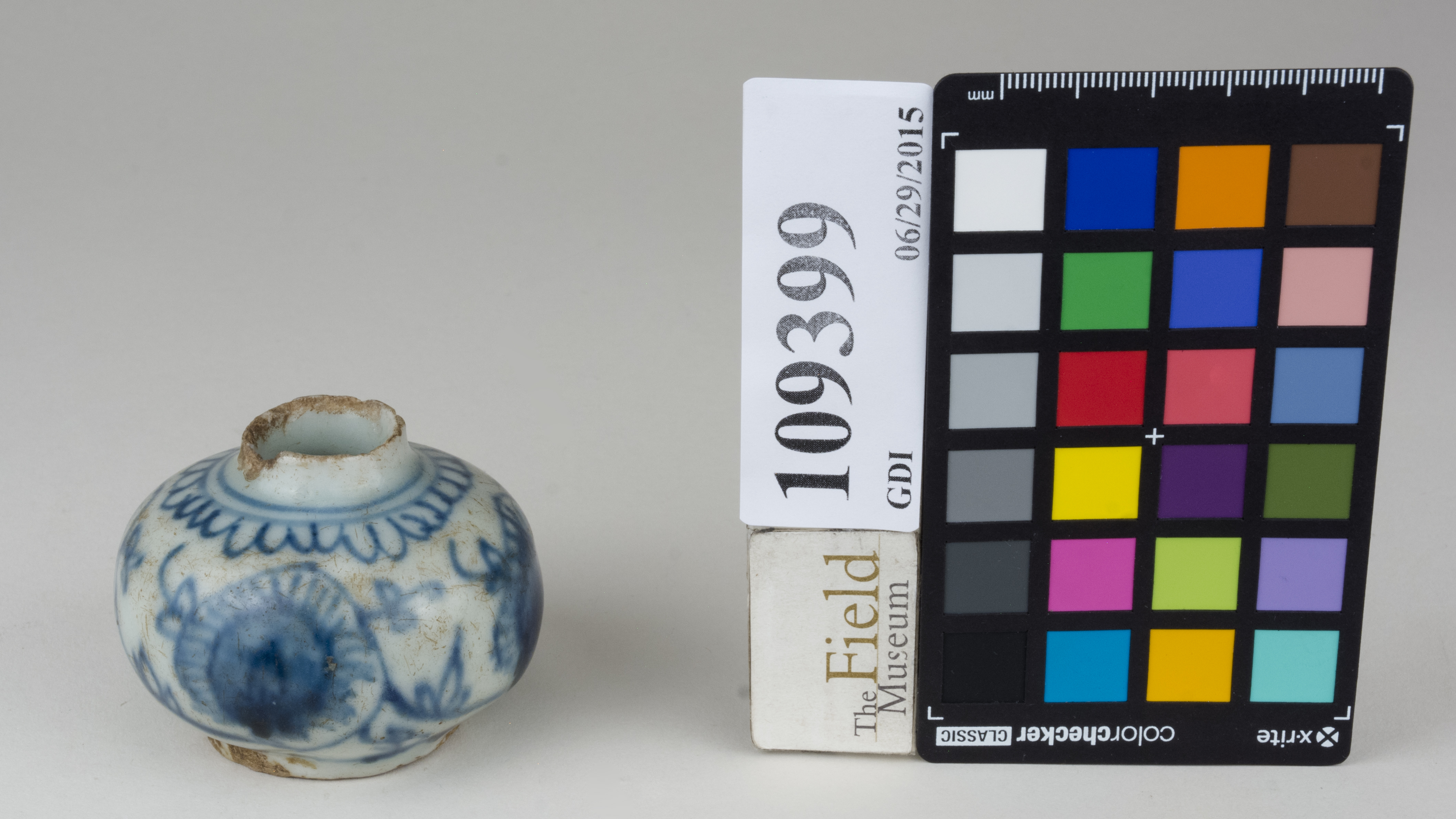 FrontAngle (c) Field Museum of Natural History - CC BY-NC 4.0