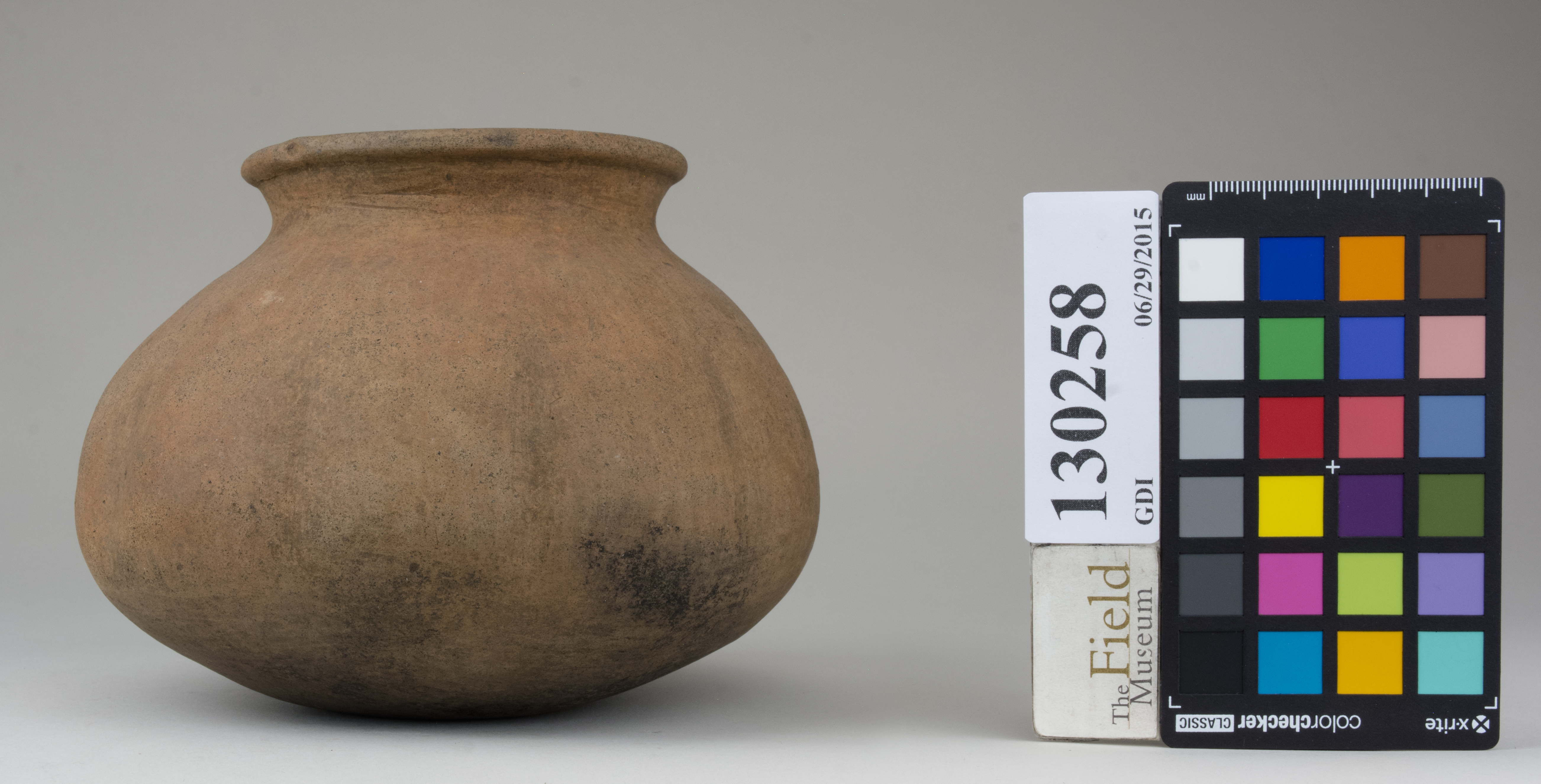 reference image, back (c) Field Museum of Natural History - CC BY-NC 4.0