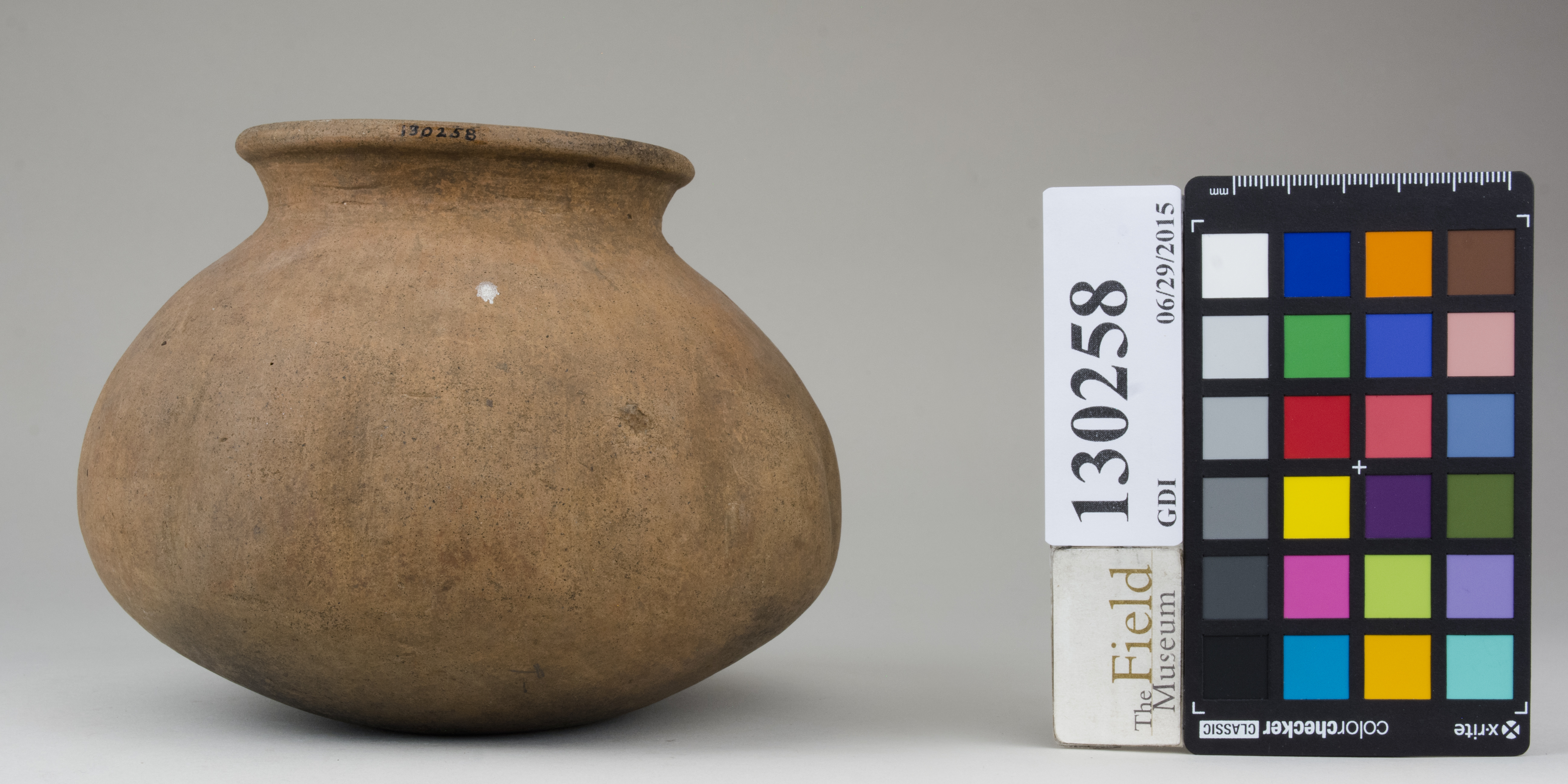 Front (c) Field Museum of Natural History - CC BY-NC 4.0