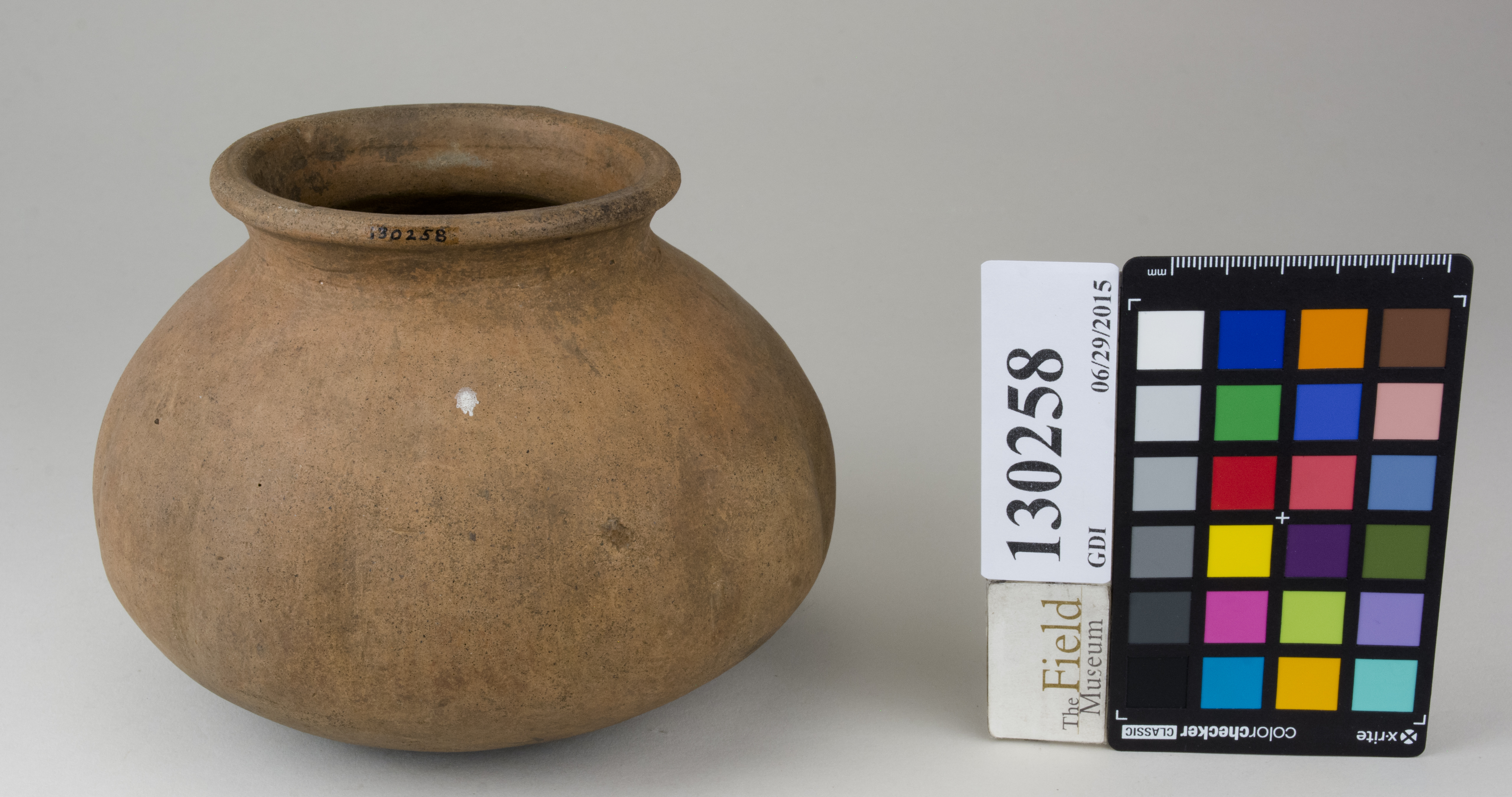 FrontAngle (c) Field Museum of Natural History - CC BY-NC 4.0