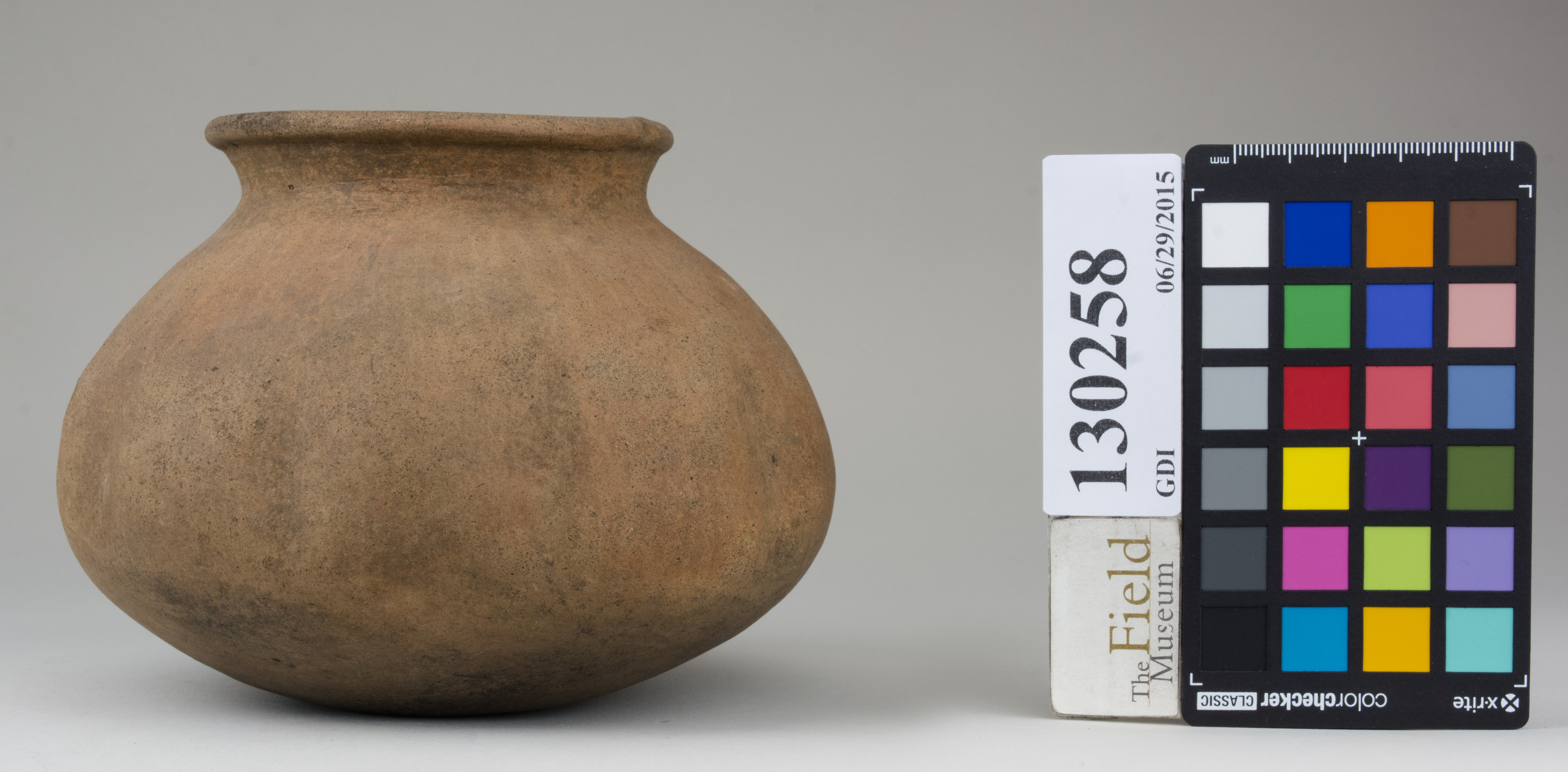 Left (c) Field Museum of Natural History - CC BY-NC 4.0