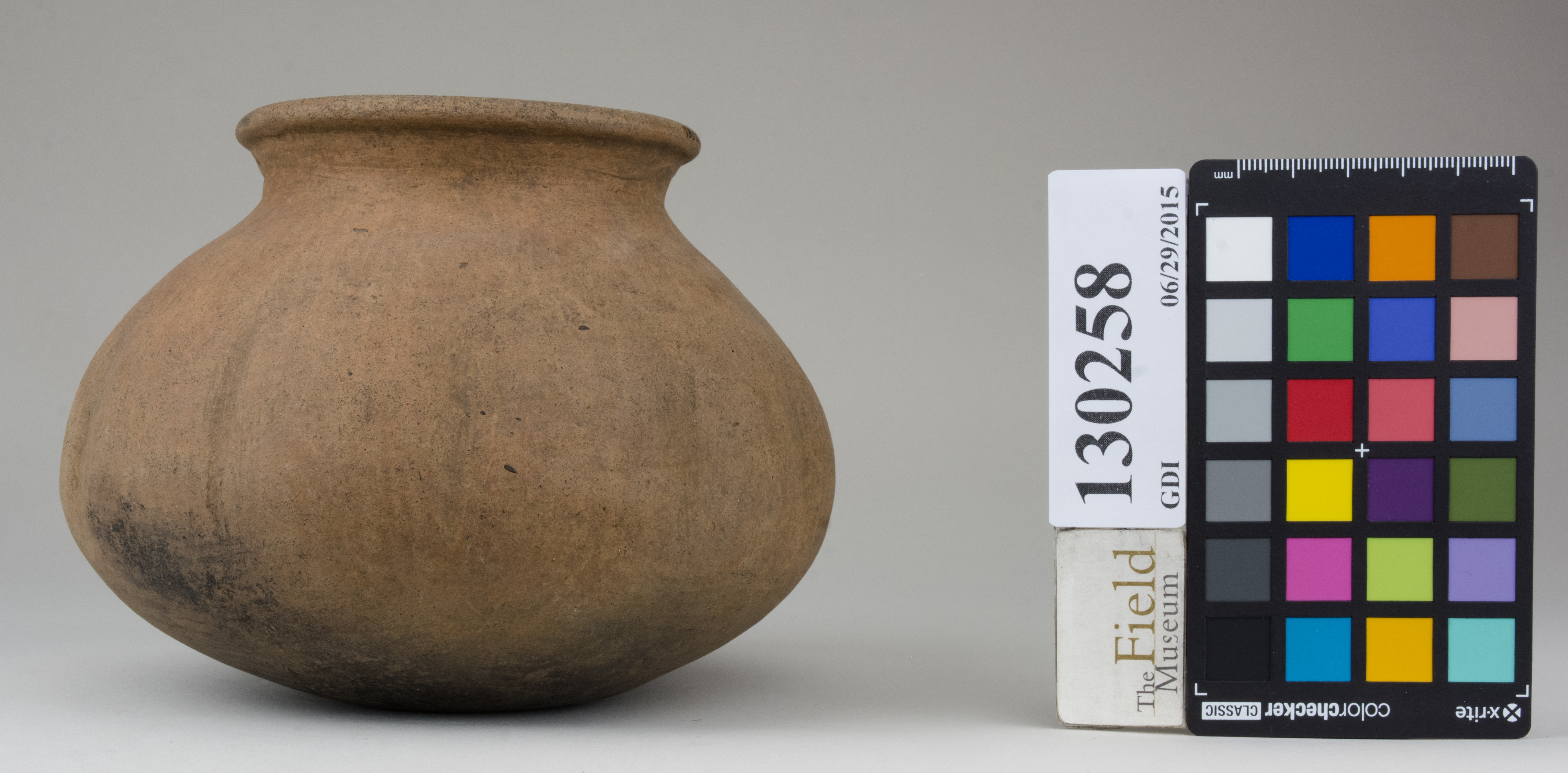 Right (c) Field Museum of Natural History - CC BY-NC 4.0