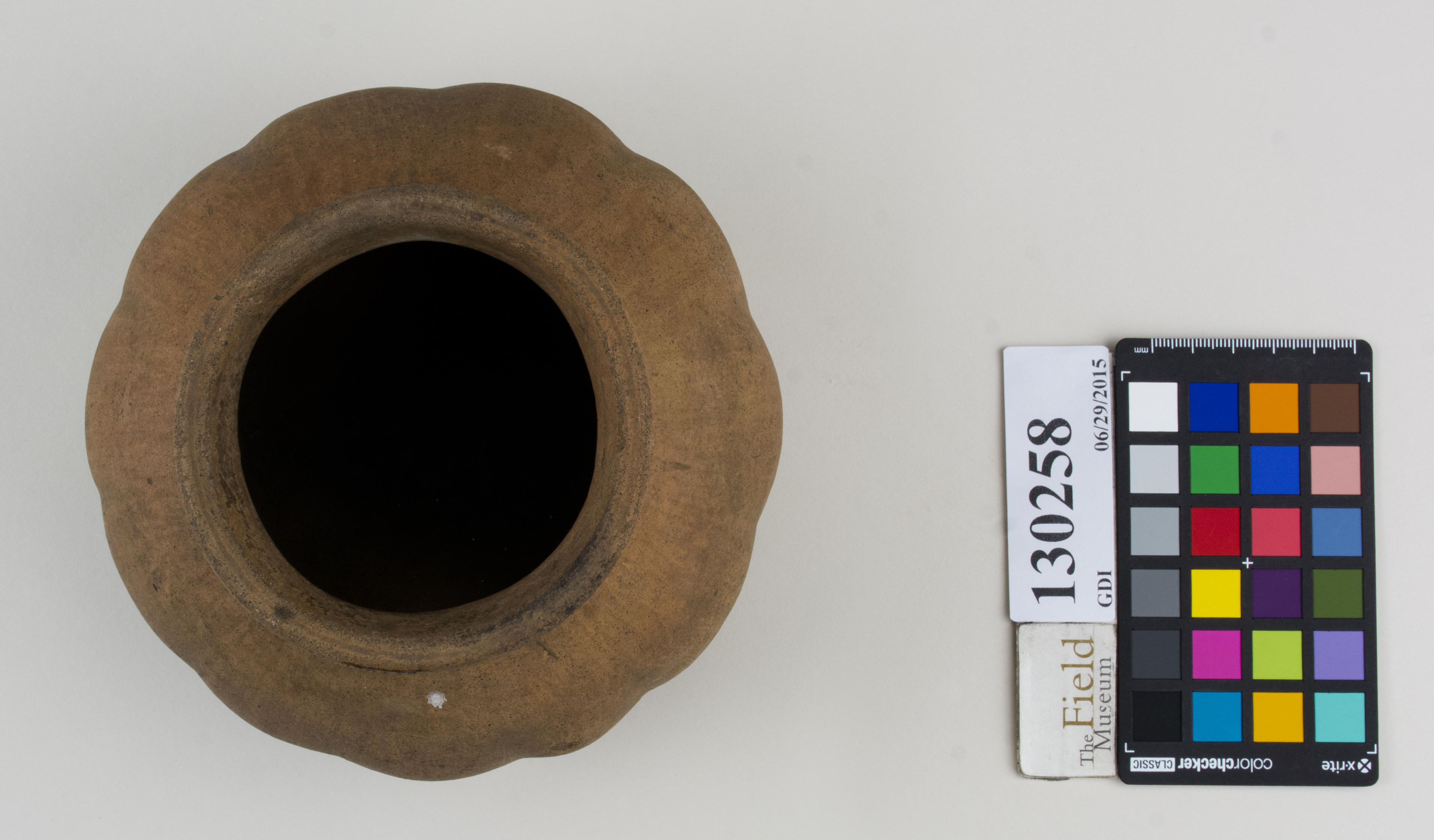 Top (c) Field Museum of Natural History - CC BY-NC 4.0