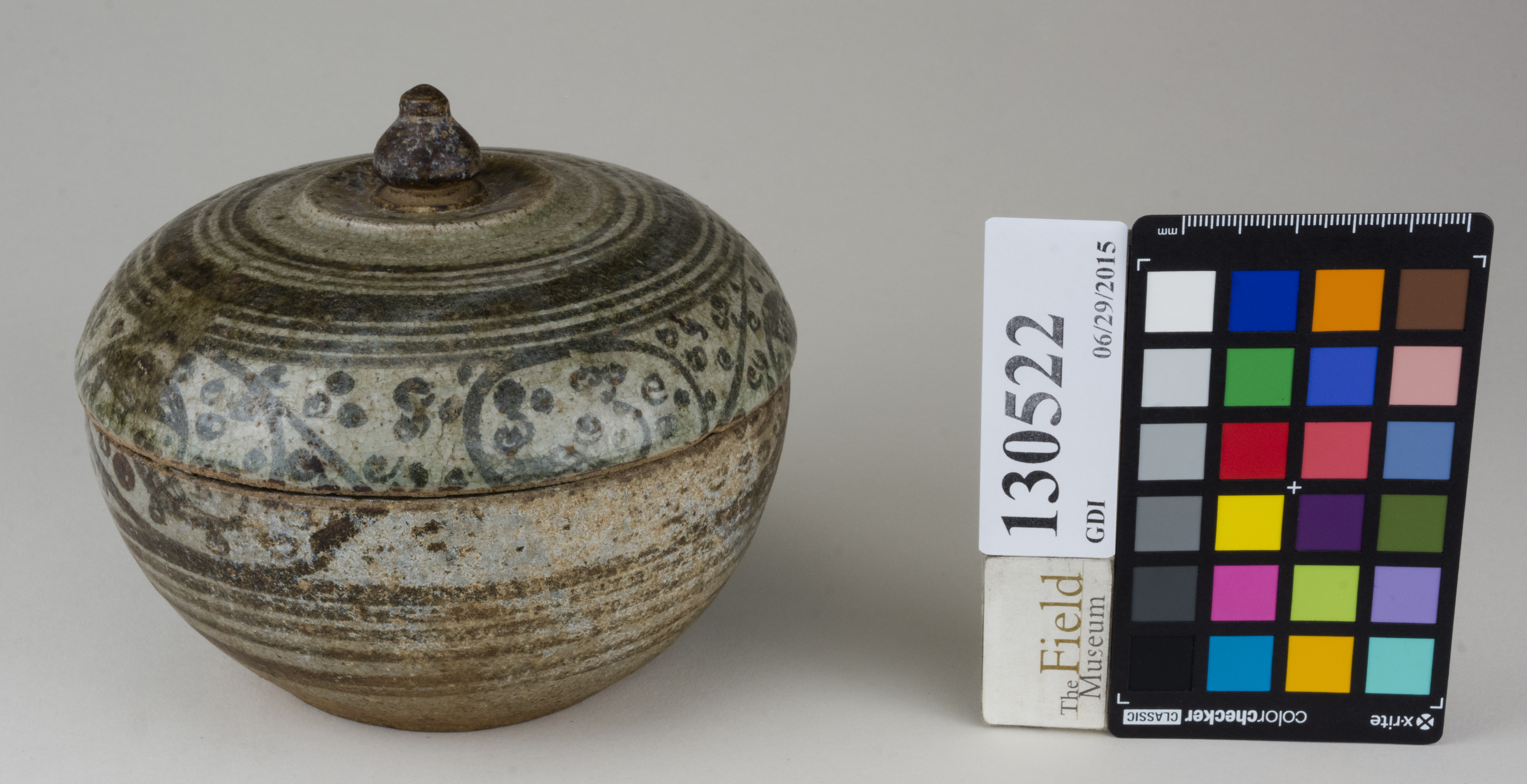 ParentFrontAngleTogether (c) Field Museum of Natural History - CC BY-NC 4.0