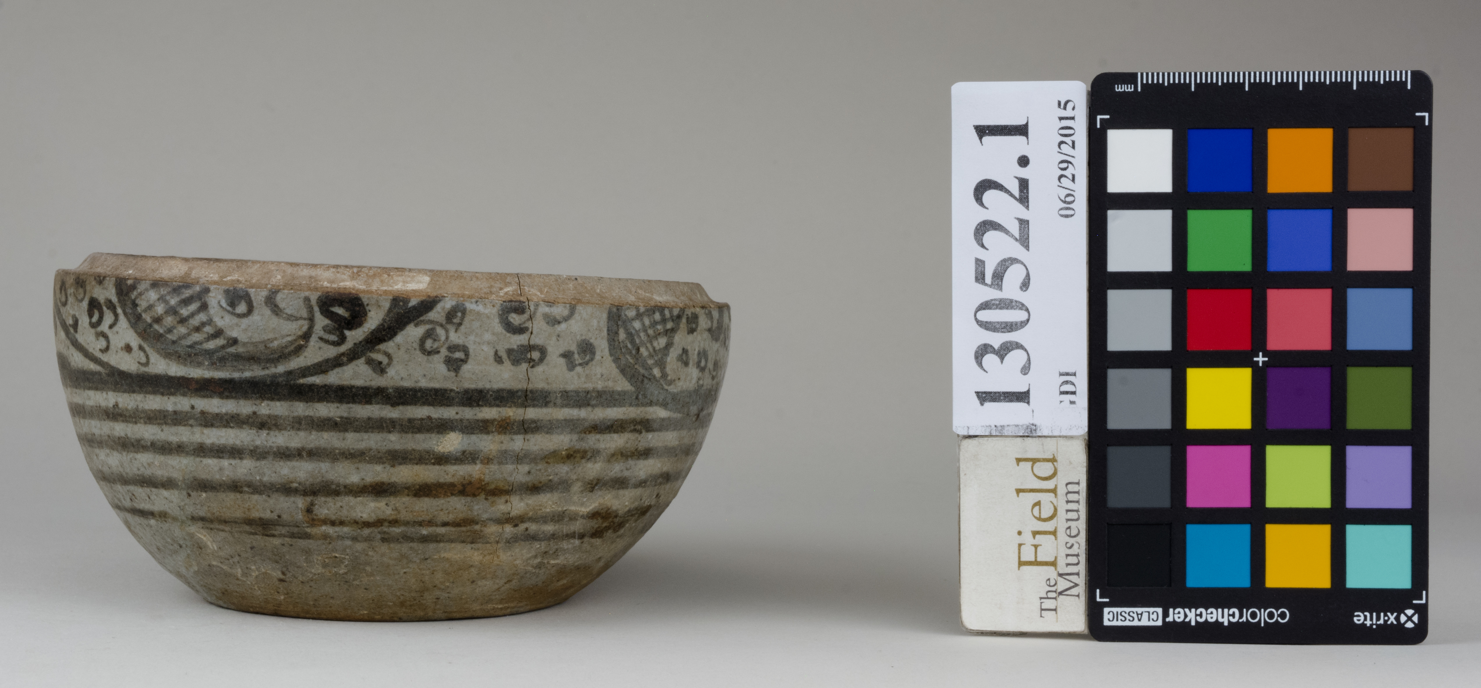 reference image, back (c) Field Museum of Natural History - CC BY-NC 4.0