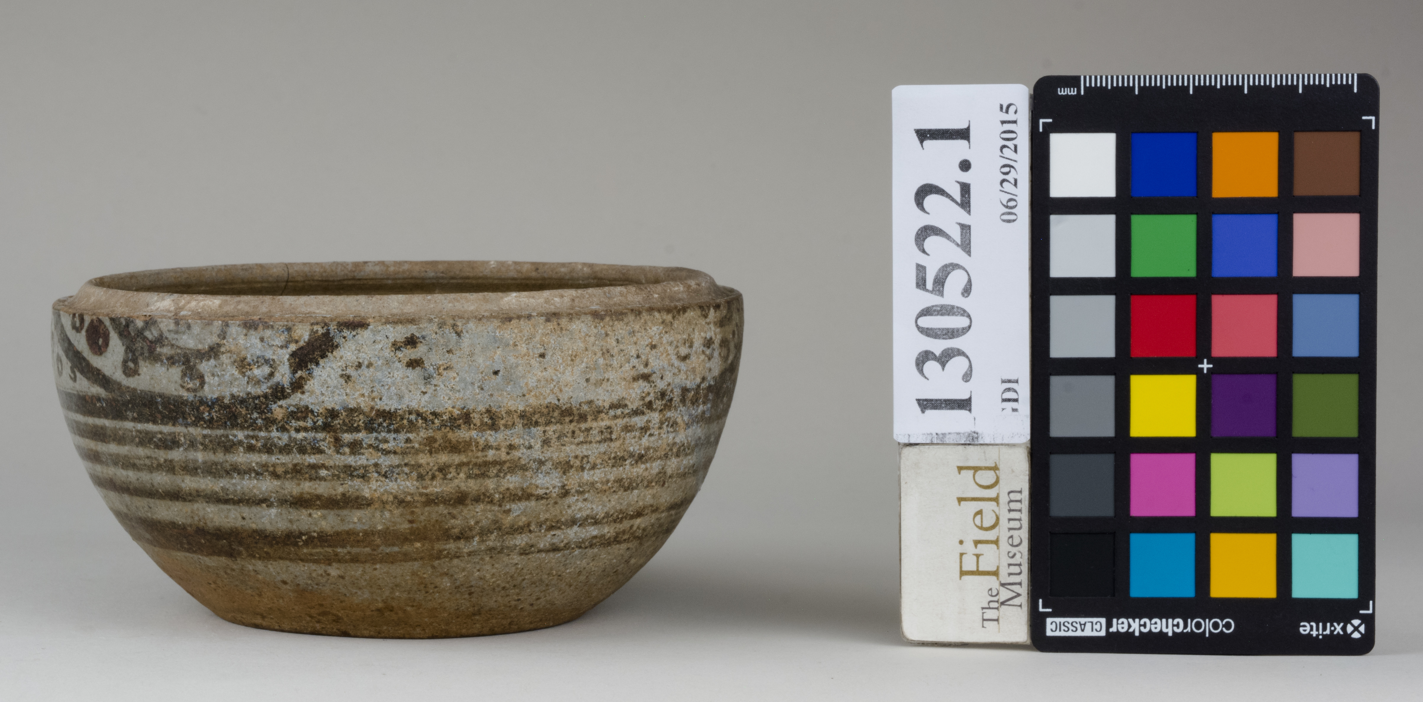 Front (c) Field Museum of Natural History - CC BY-NC 4.0