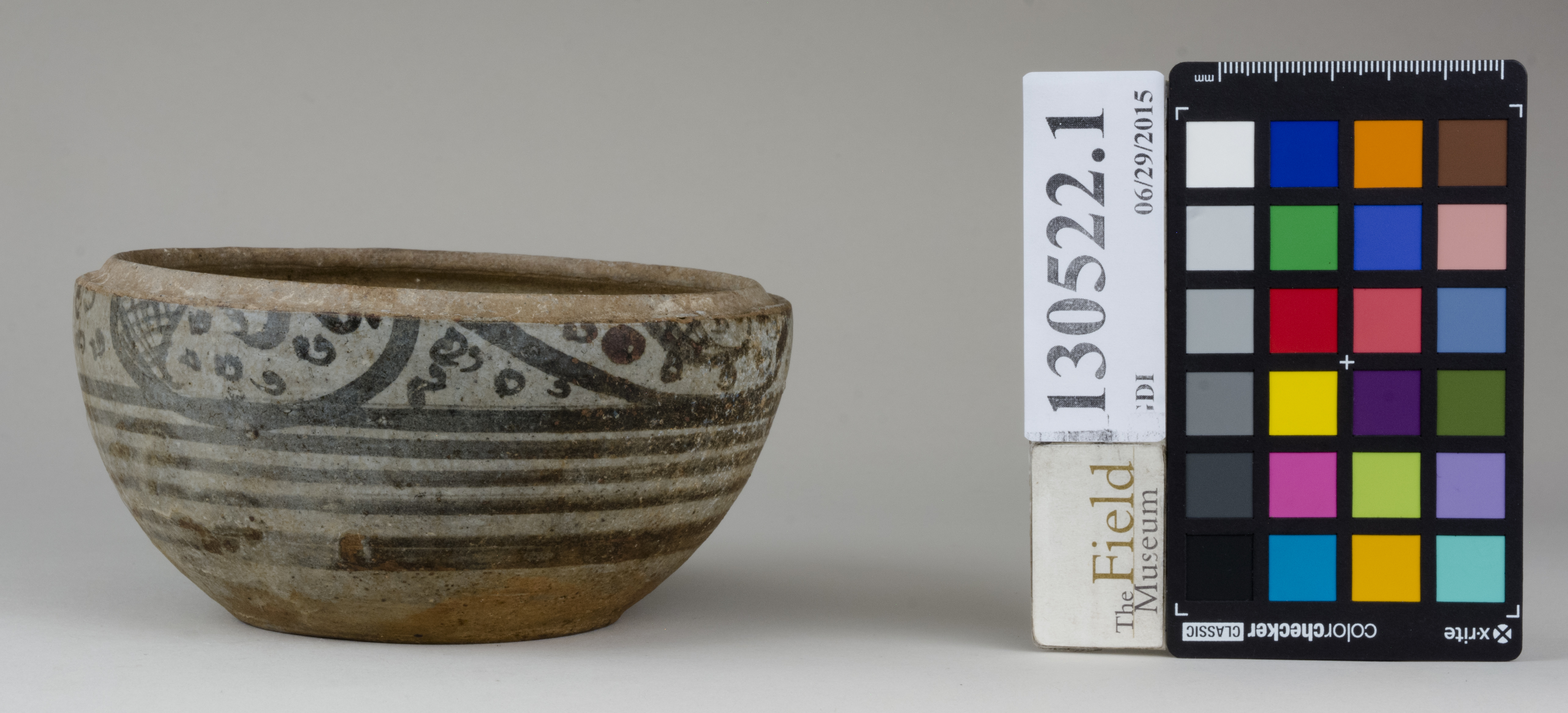 Right (c) Field Museum of Natural History - CC BY-NC 4.0