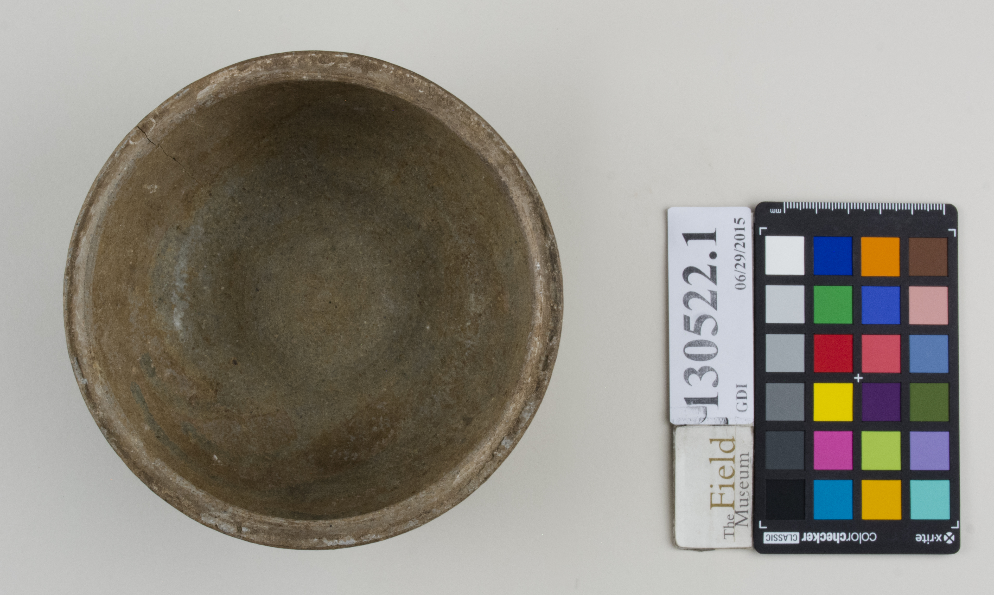 Top (c) Field Museum of Natural History - CC BY-NC 4.0