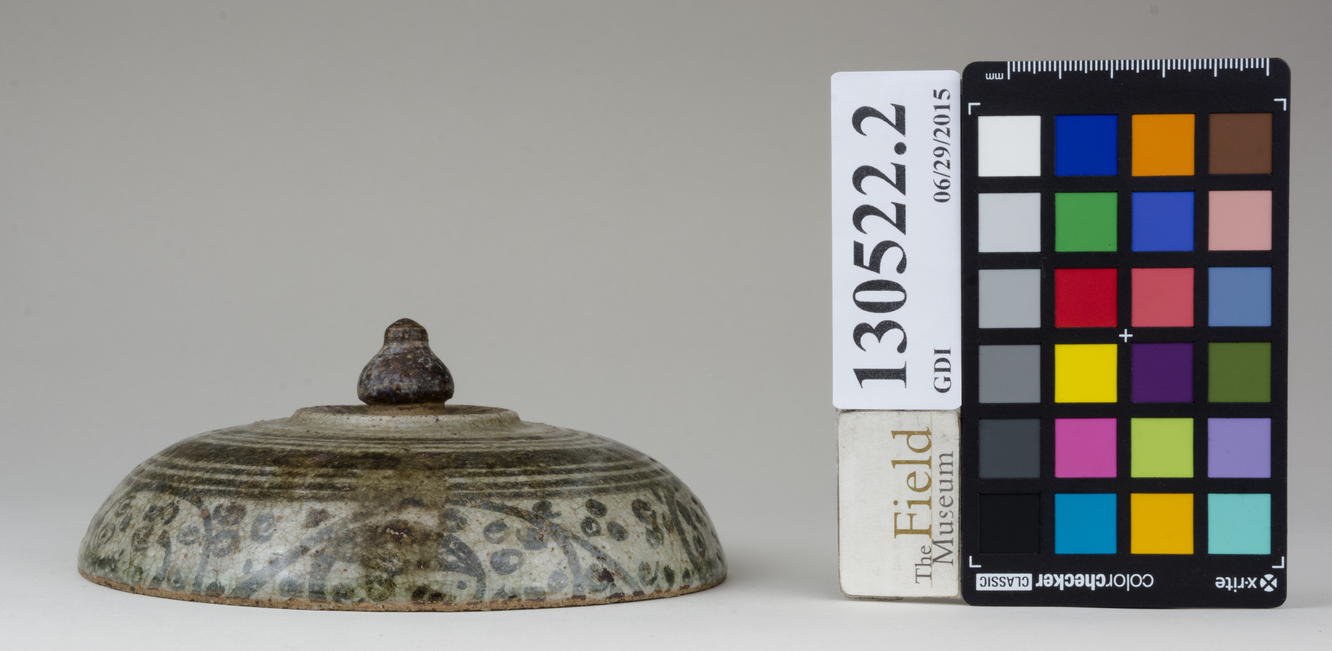 Front (c) Field Museum of Natural History - CC BY-NC 4.0